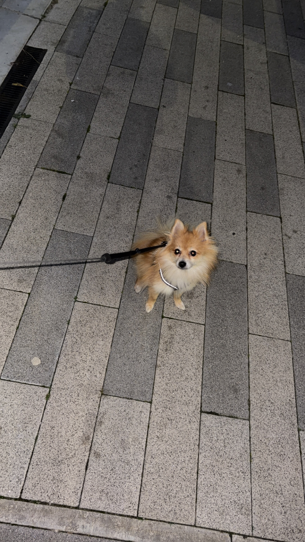 image-7