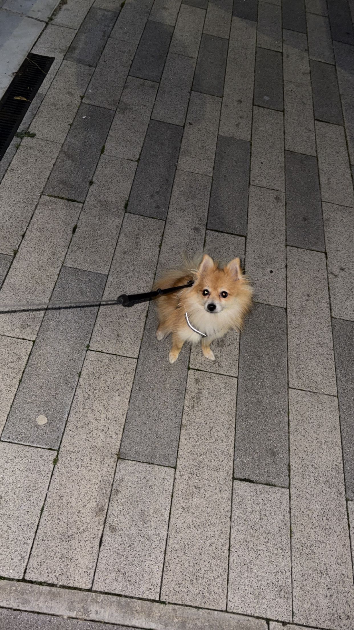 image-7