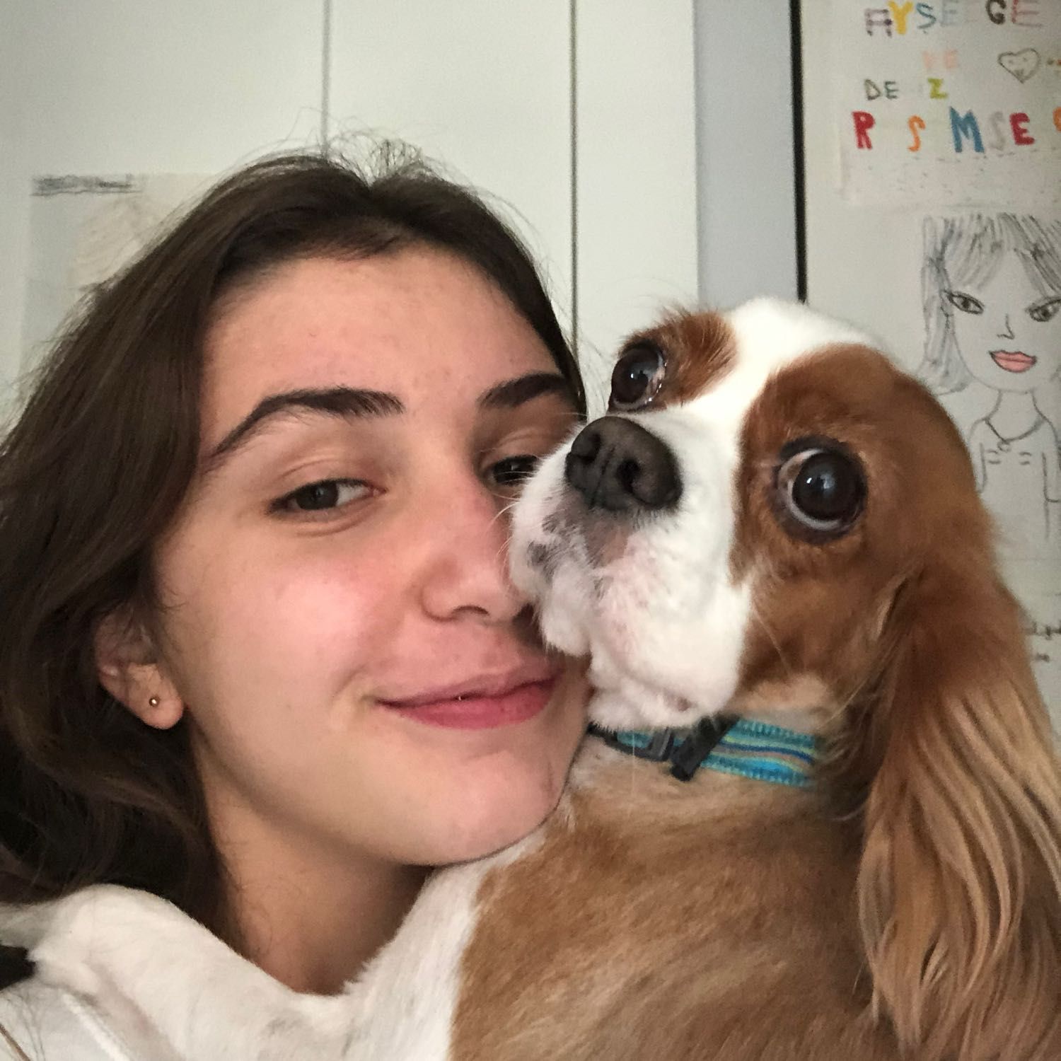 Ayşeege