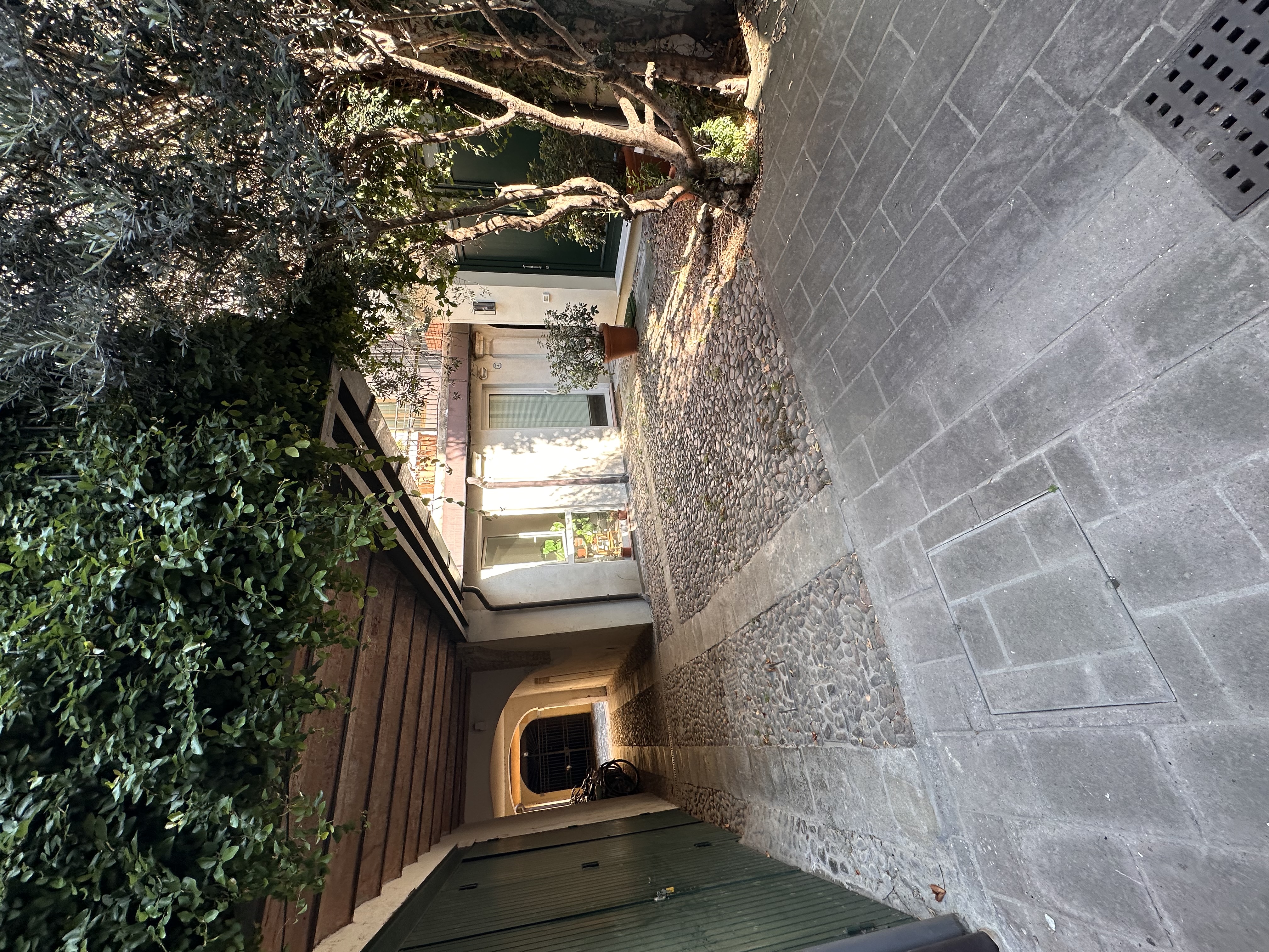 image-14