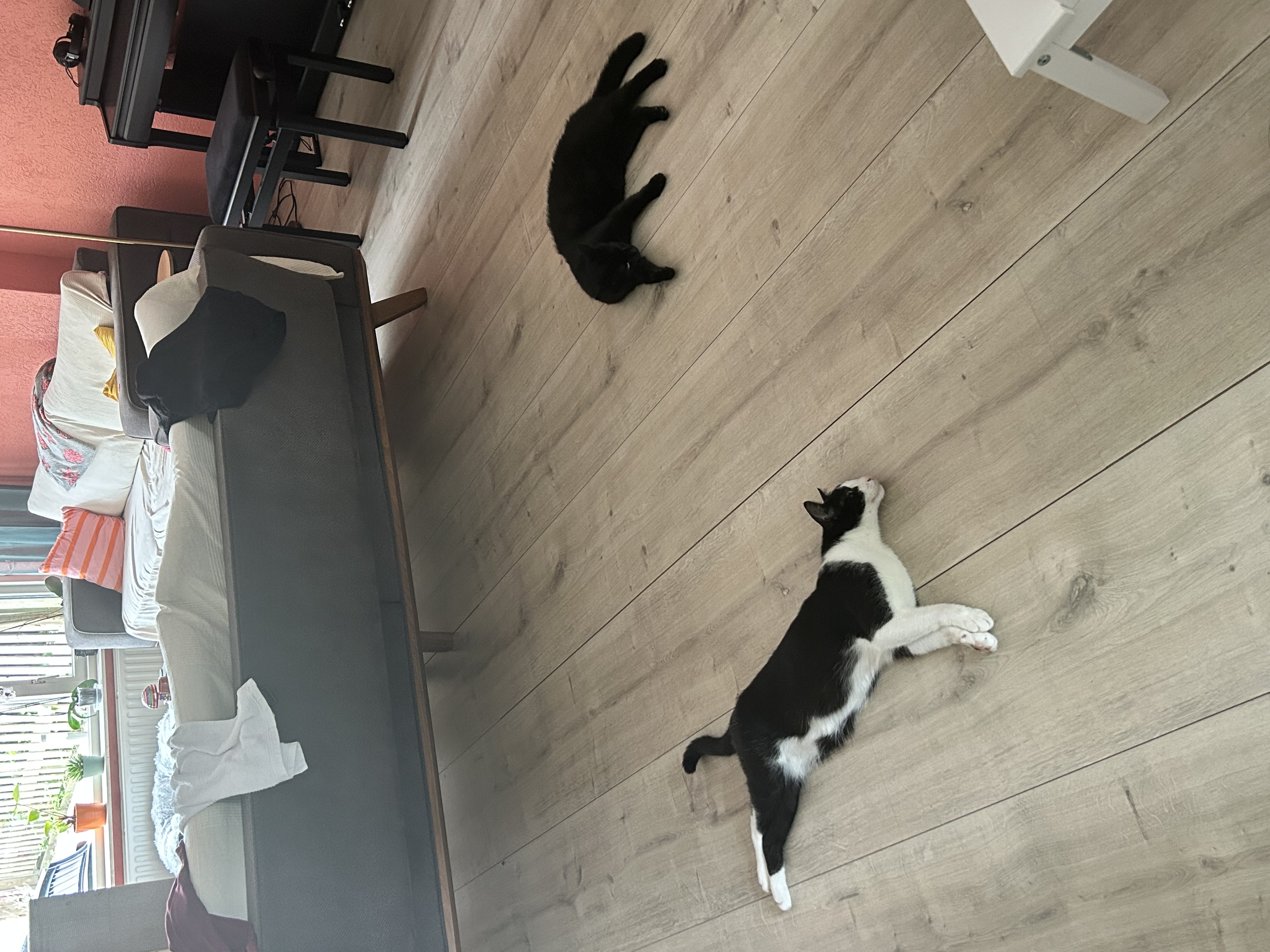 image-13