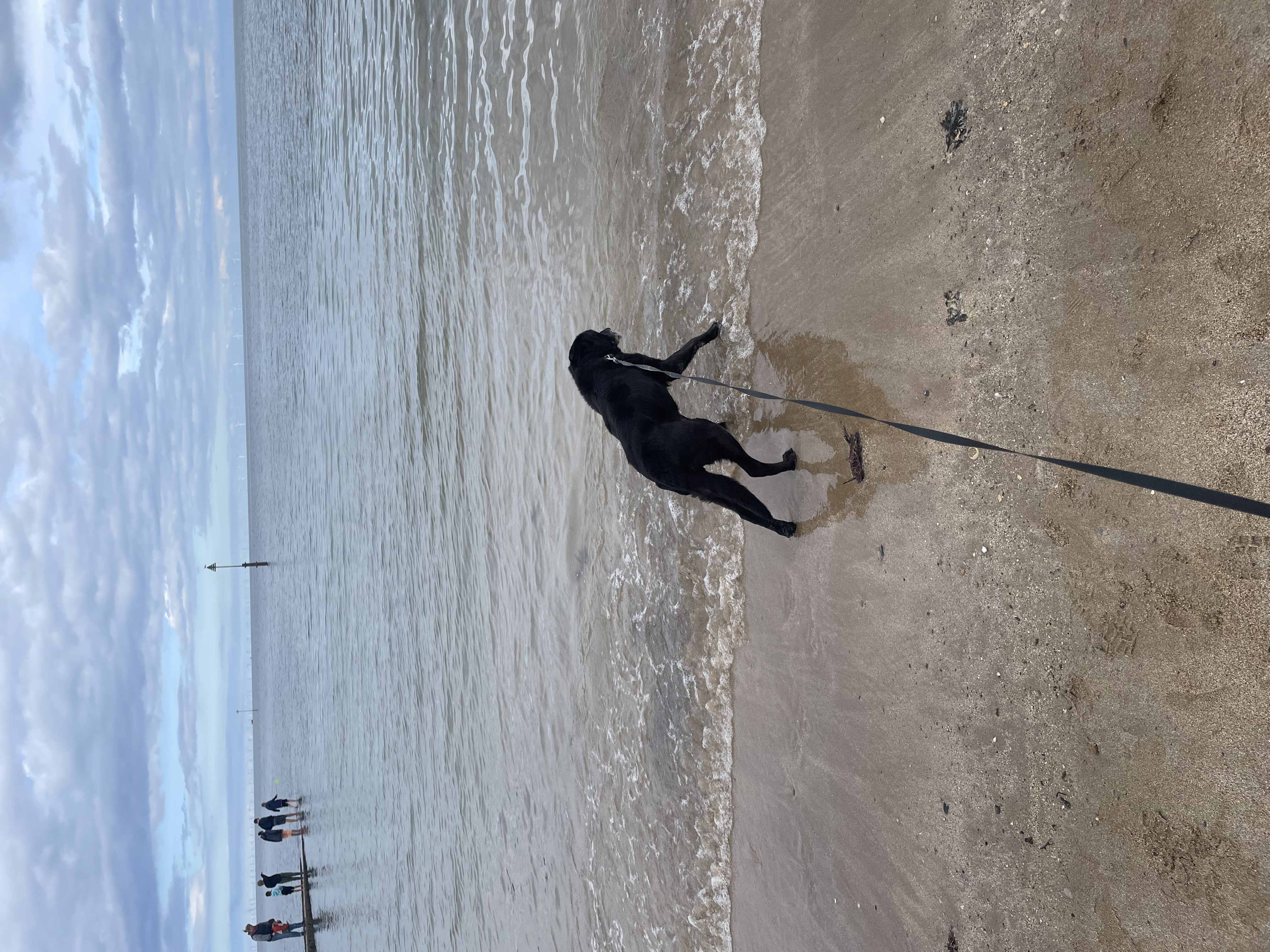 image-5