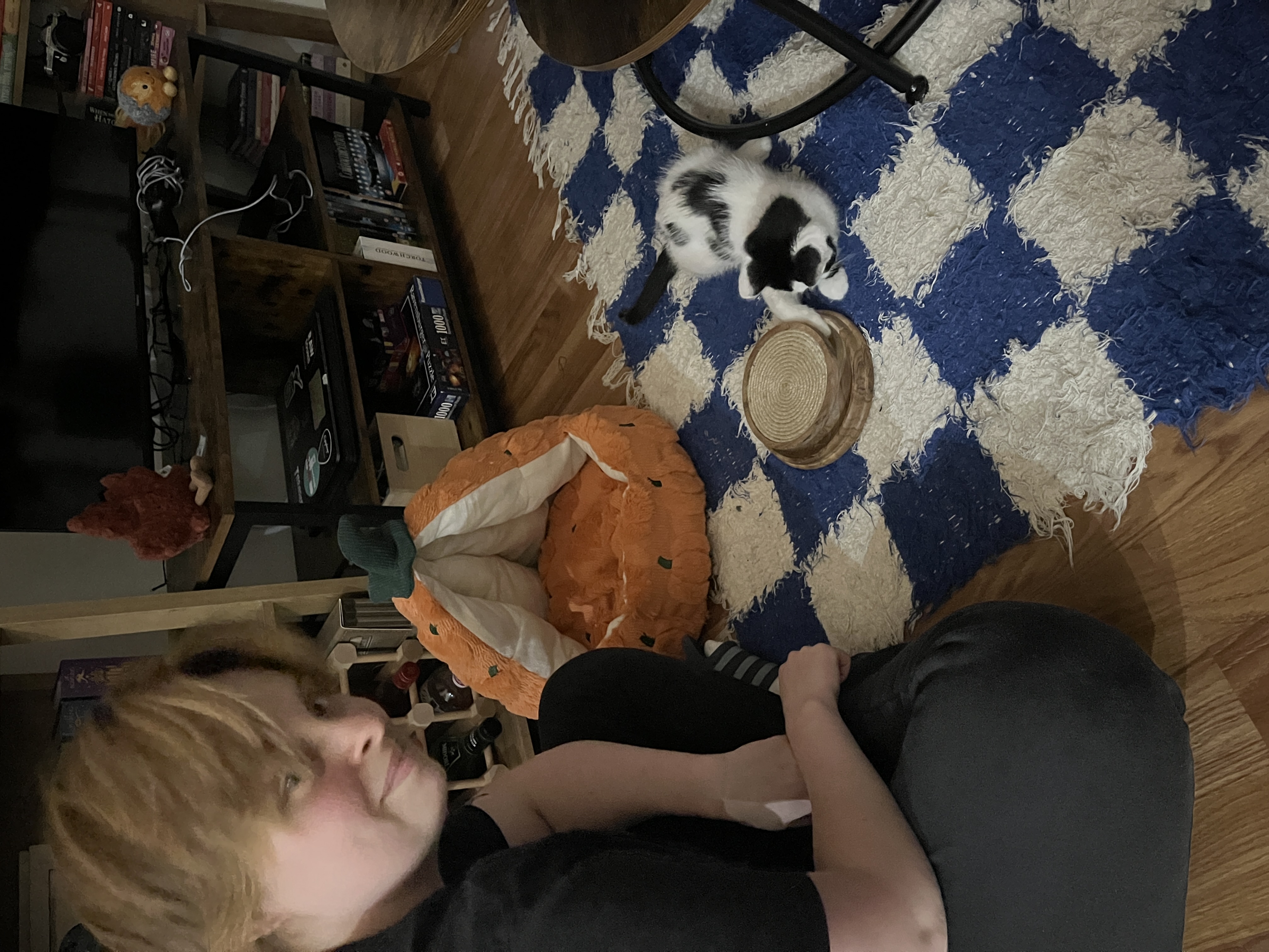 image-13
