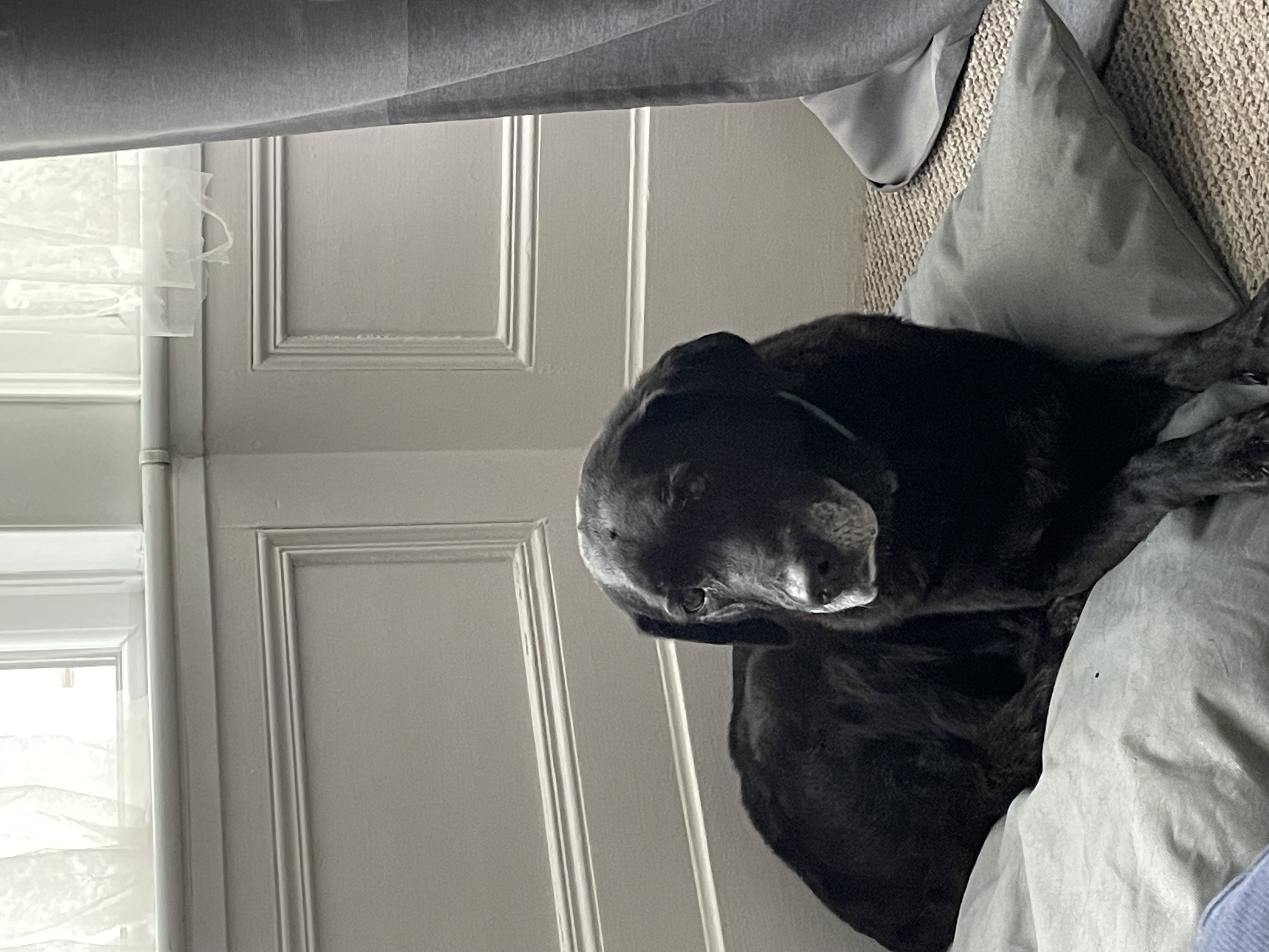 image-6
