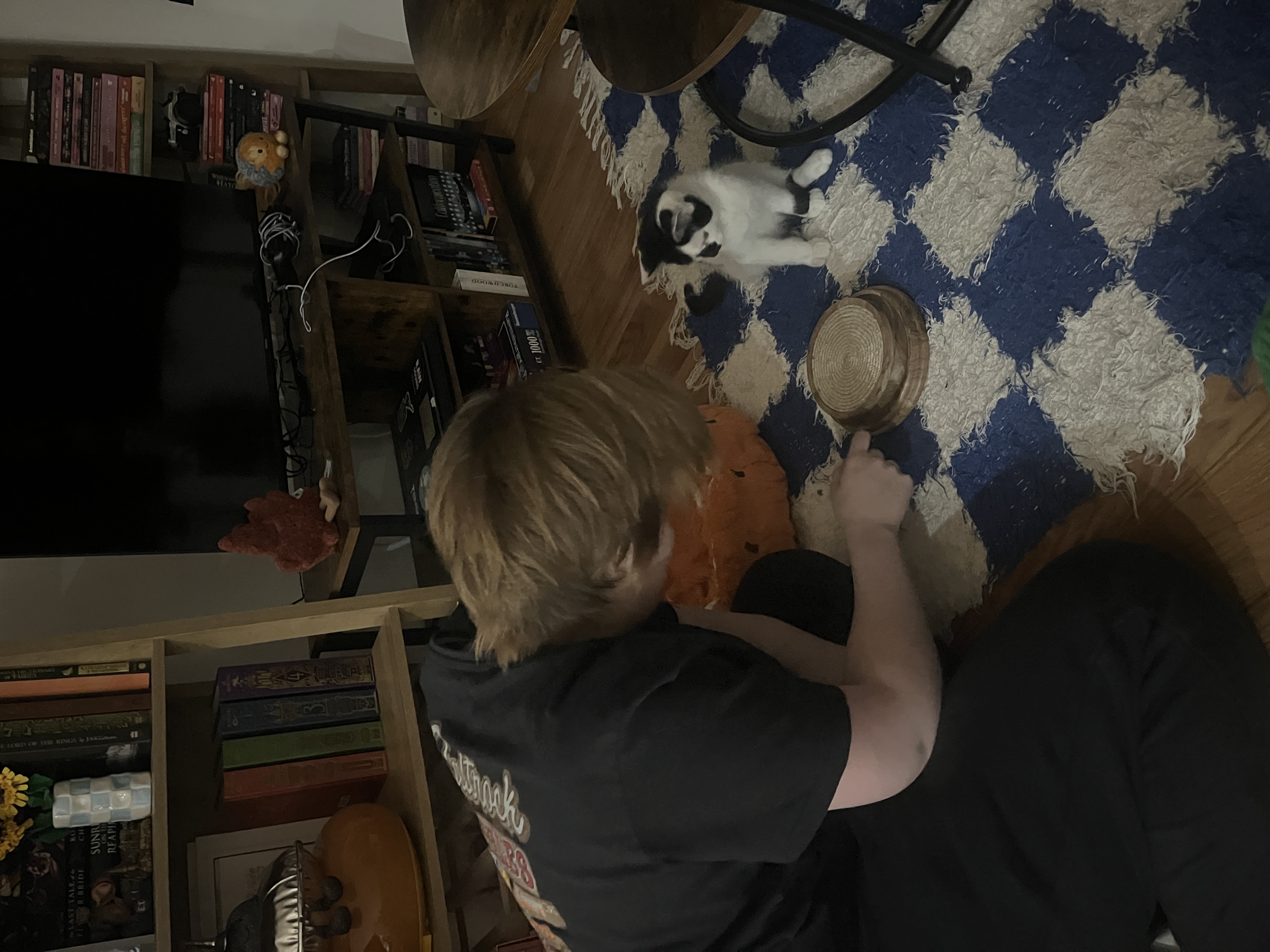 image-12
