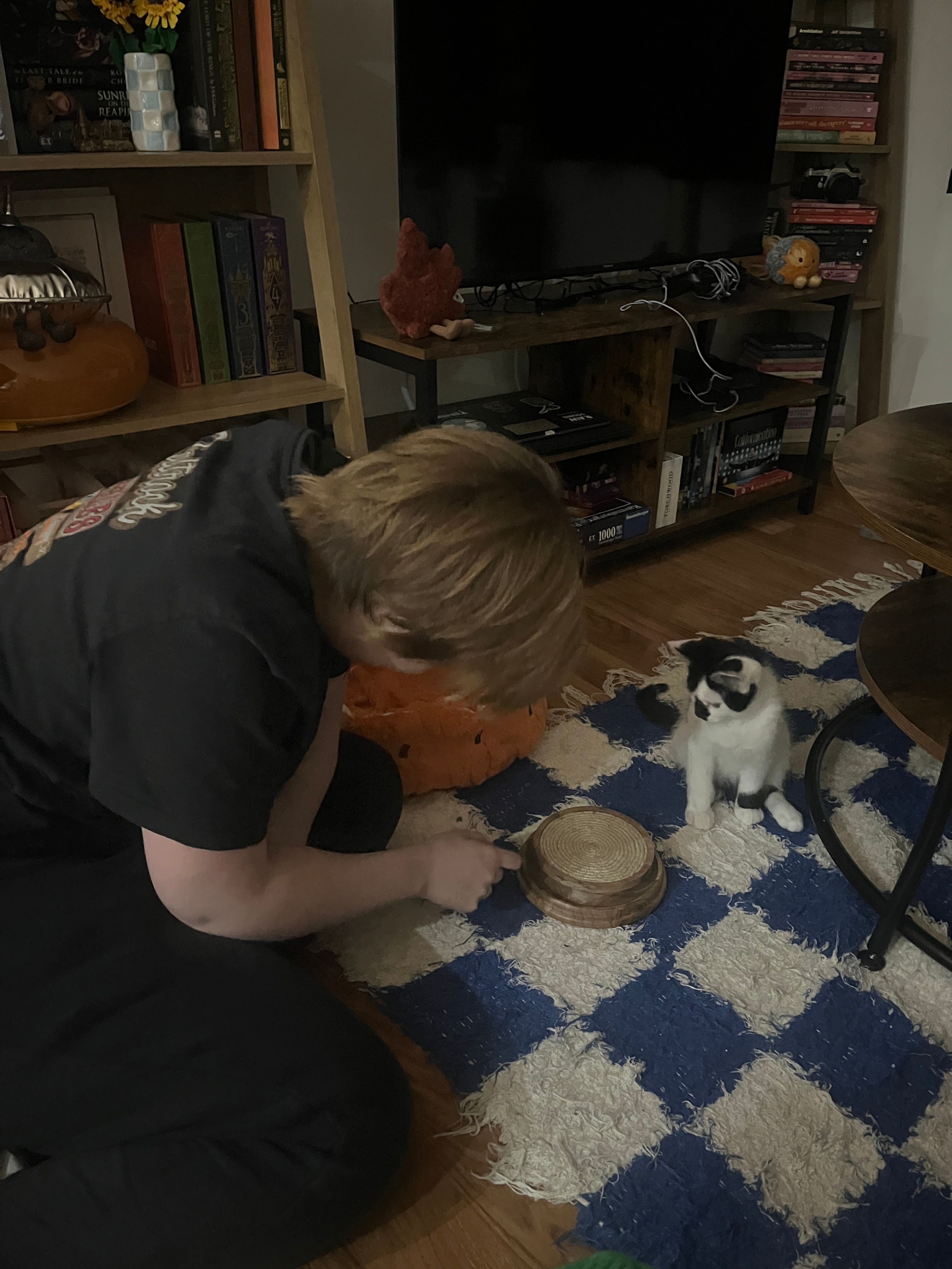 image-12