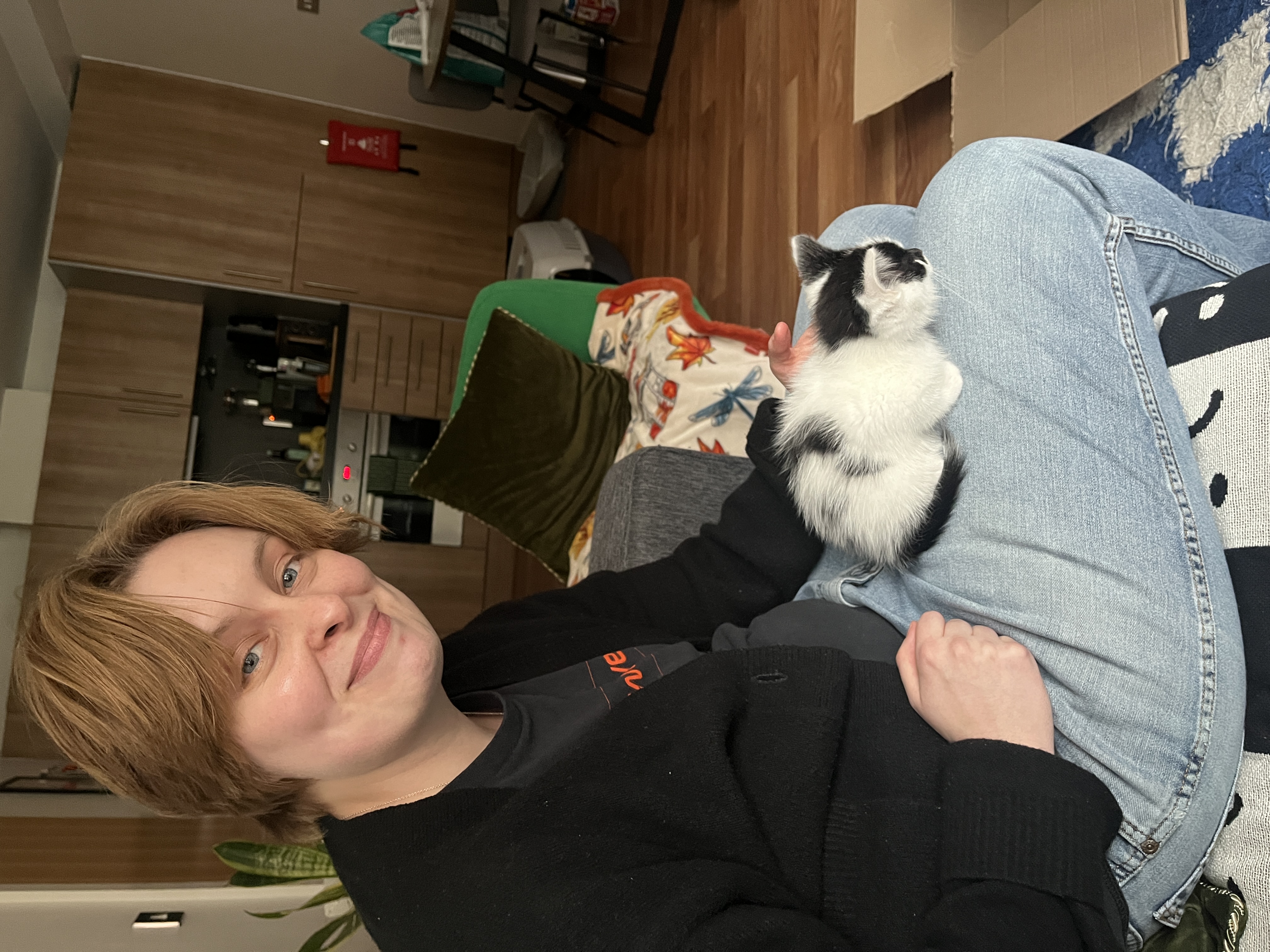 image-2