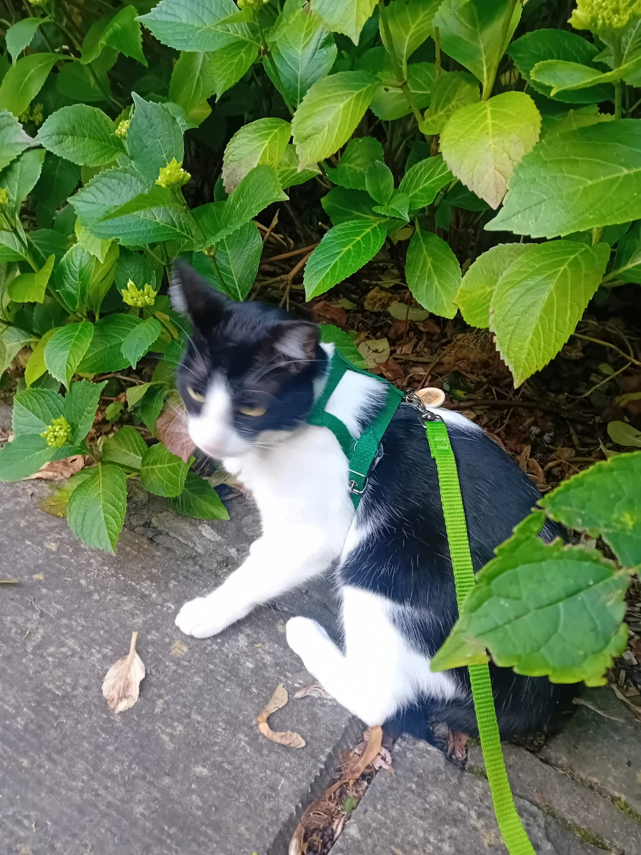 image-8
