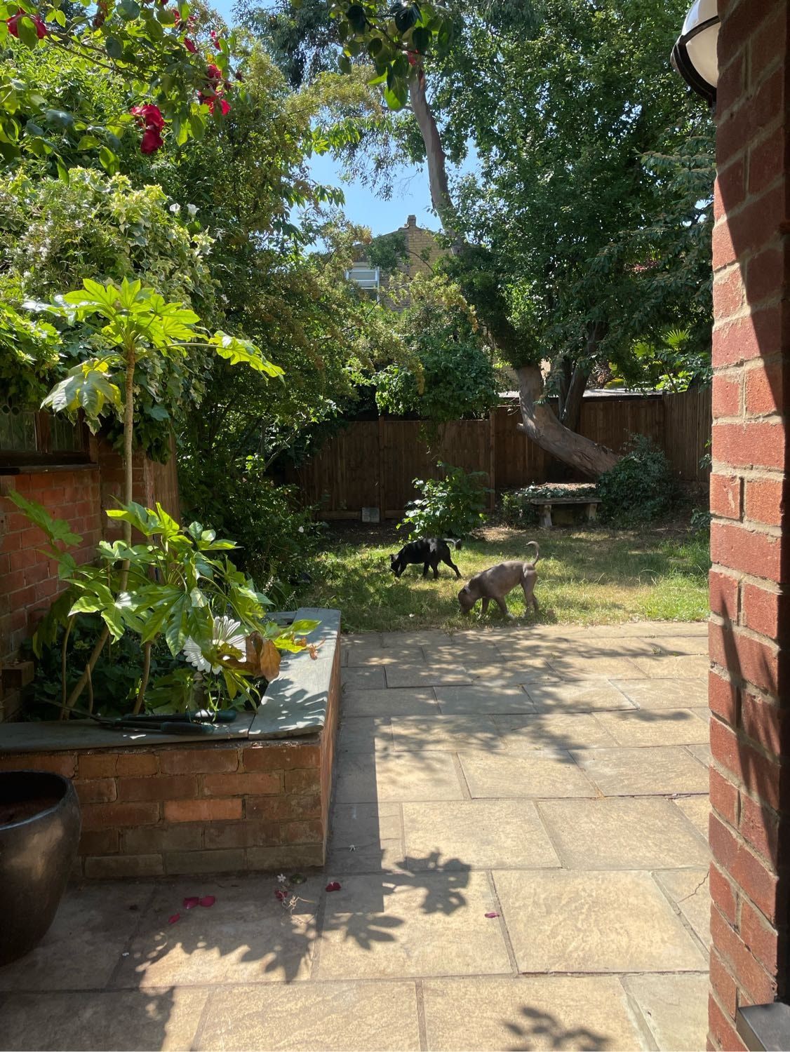 image-4