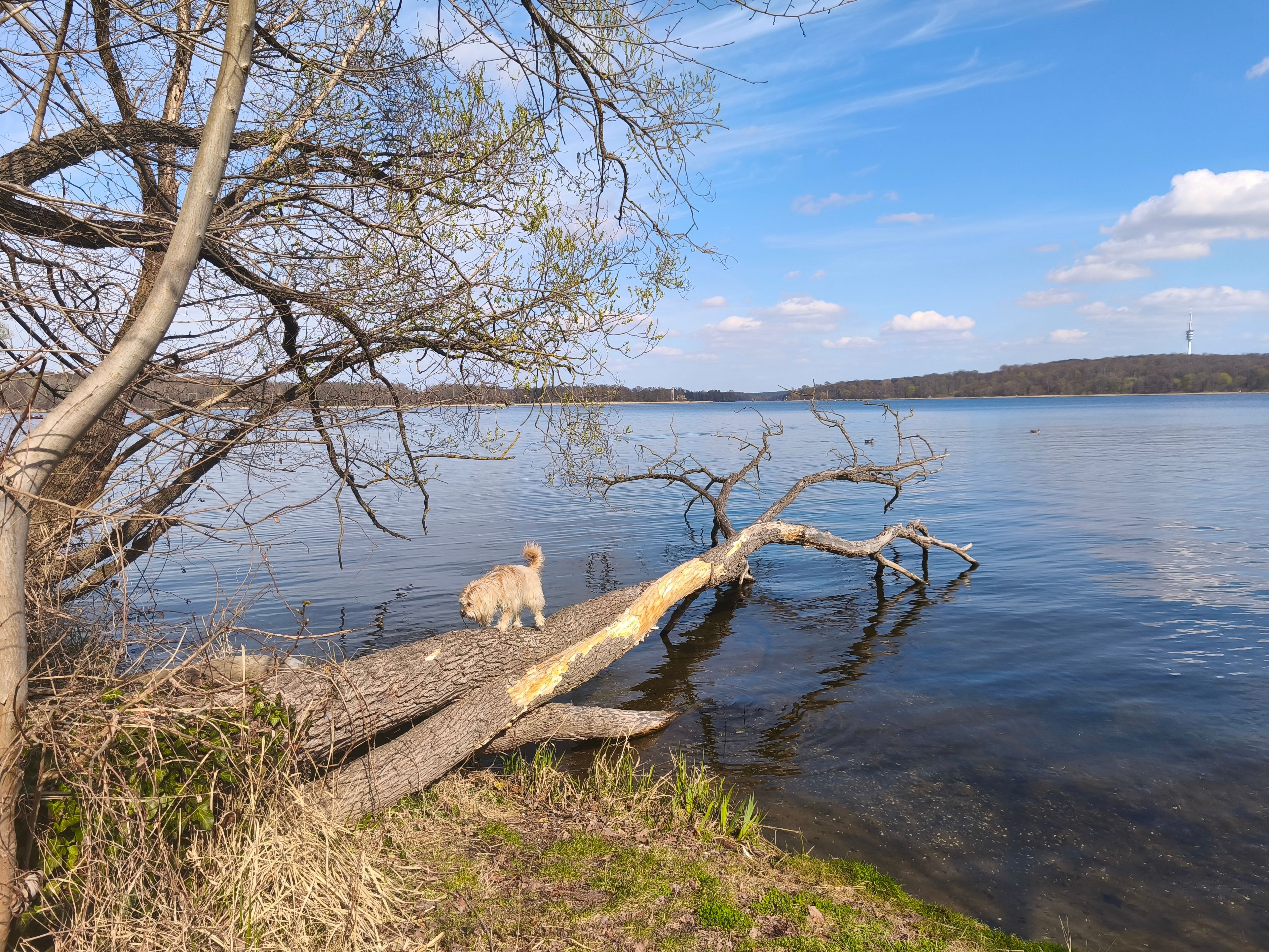 image-15