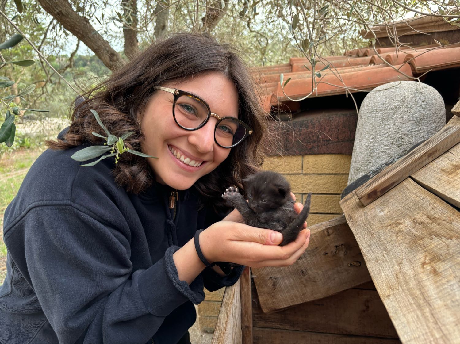 image-4