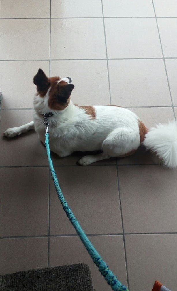 image-8
