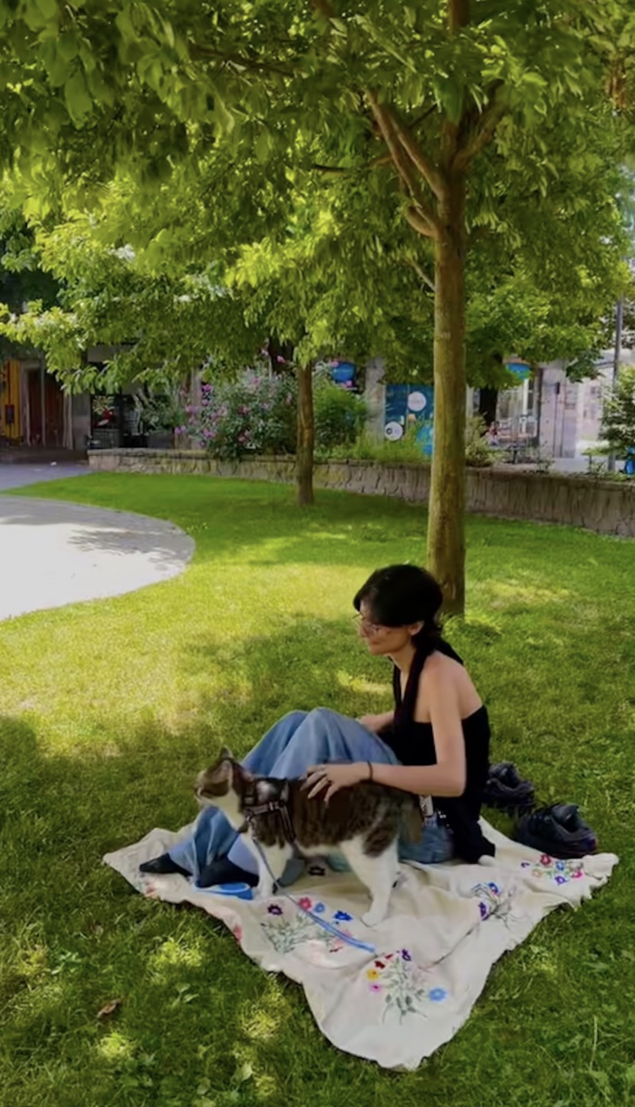 image-4