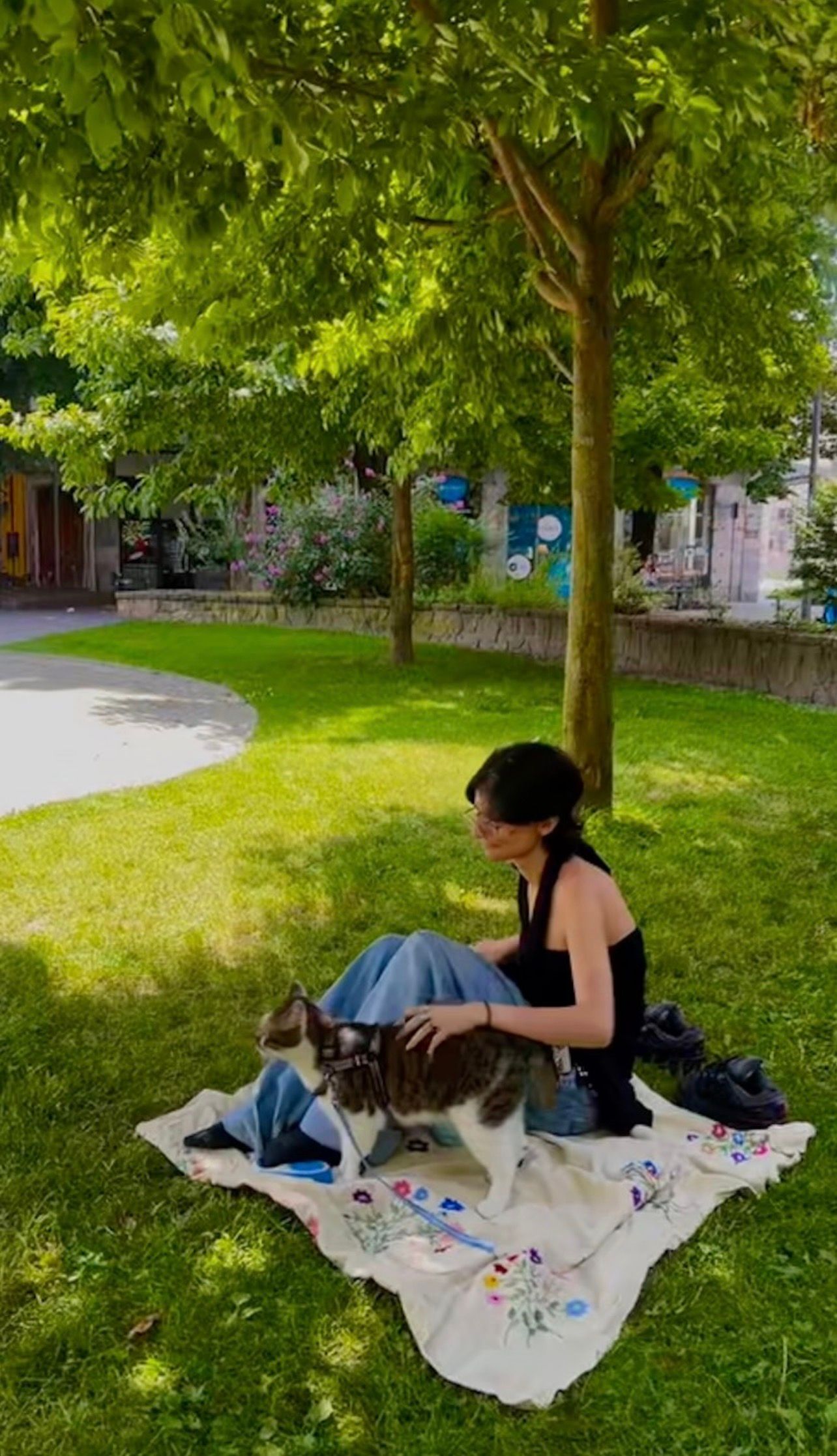 image-4