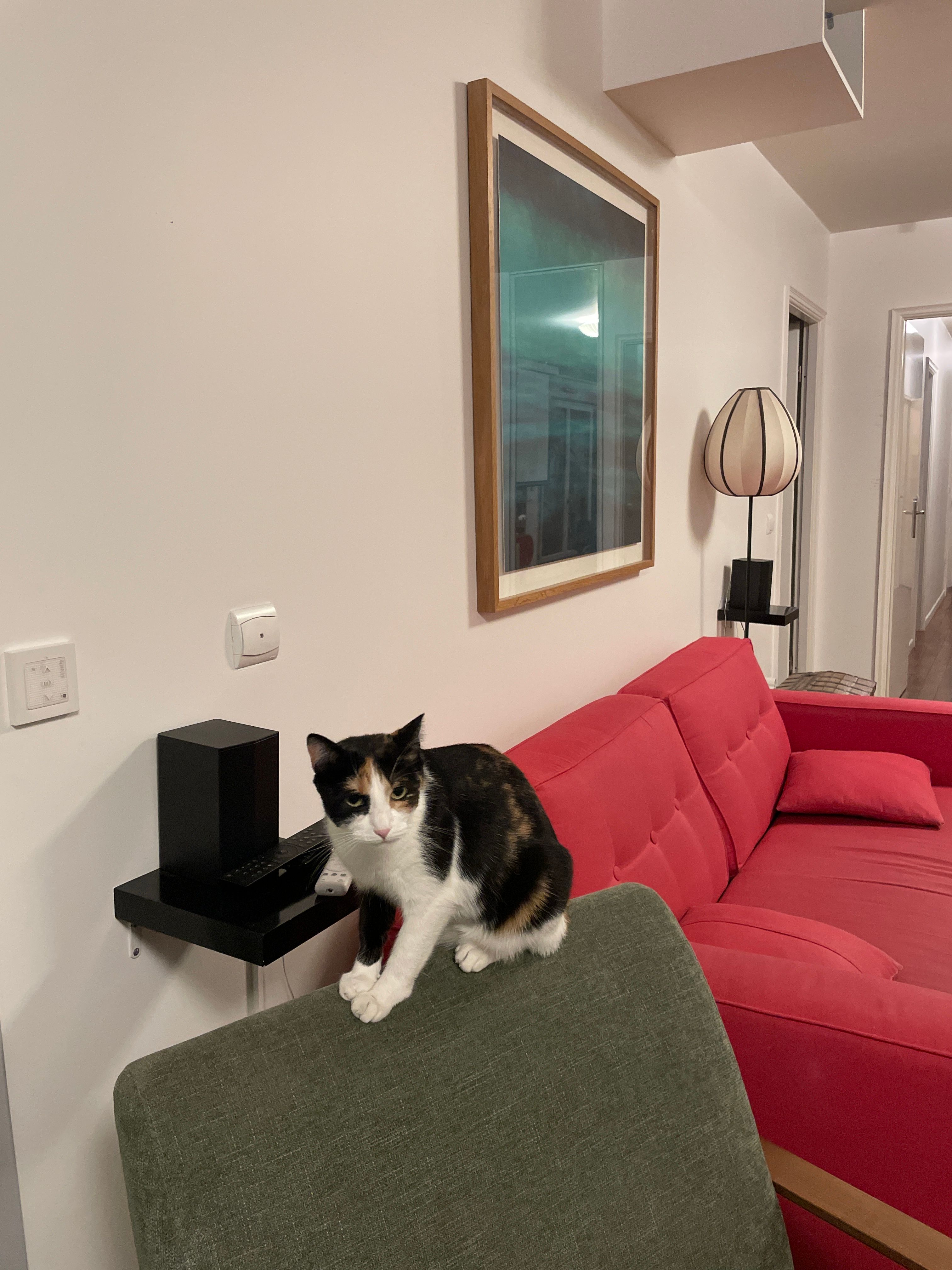 image-12