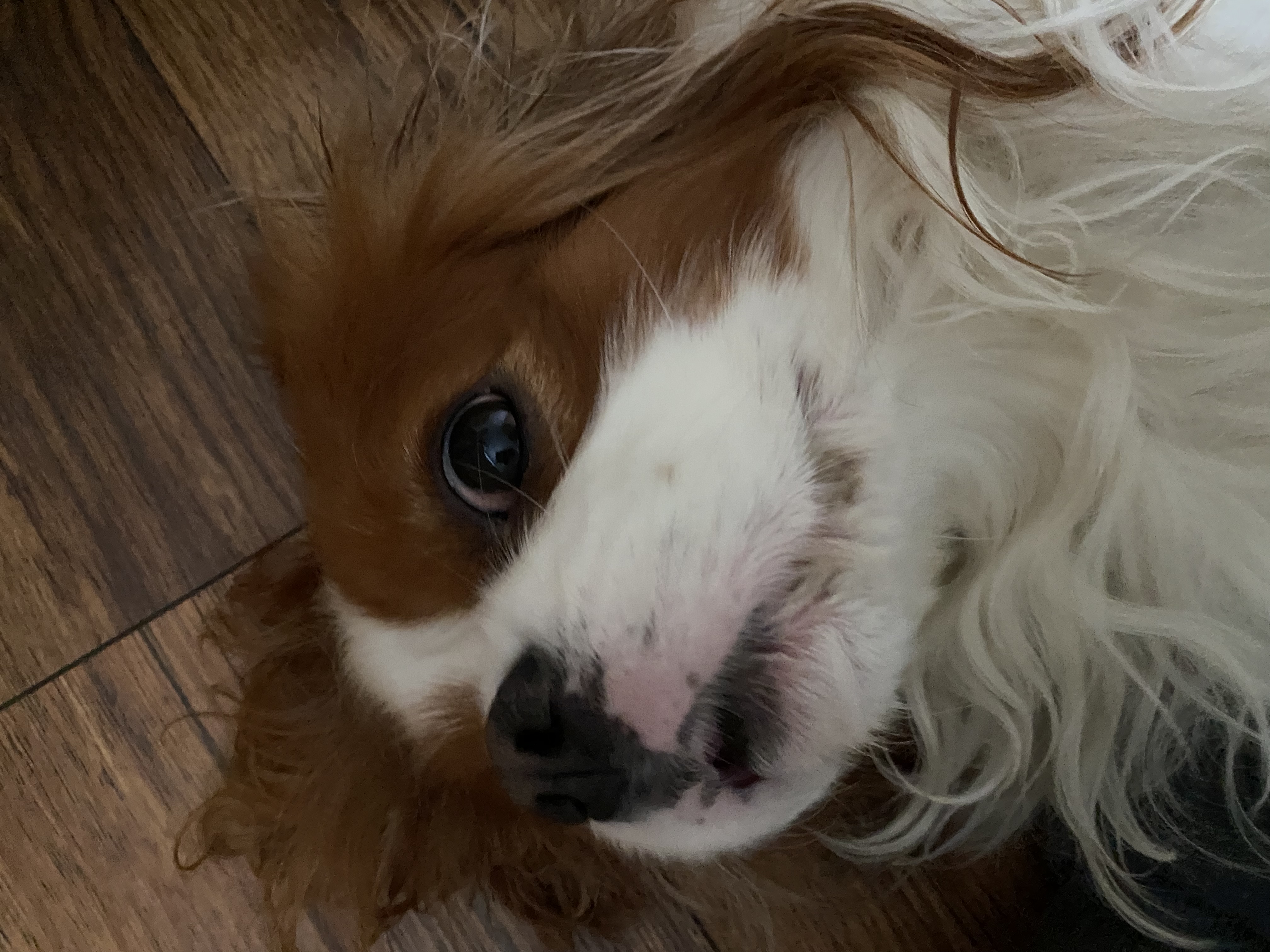 image-10