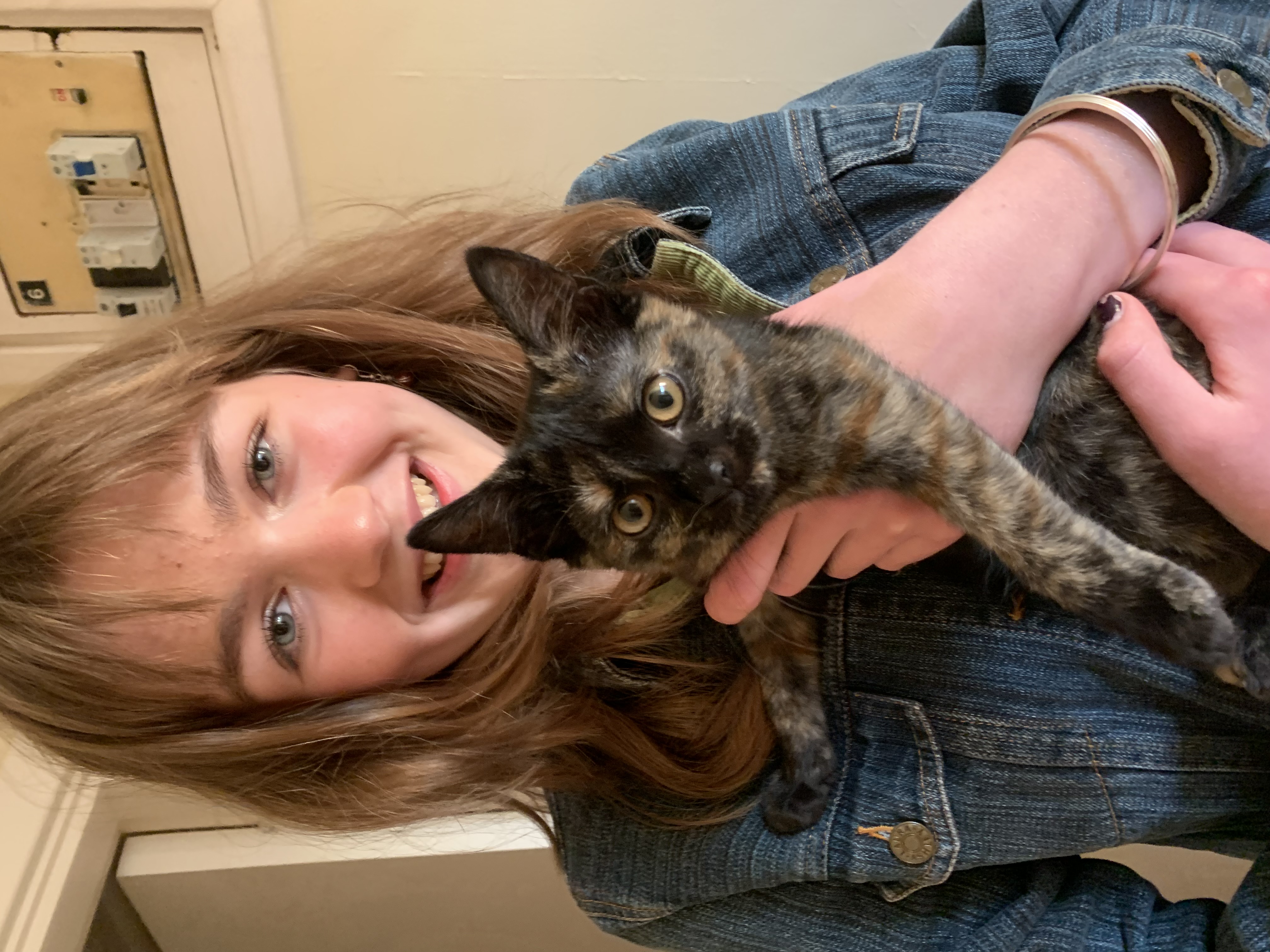 image-8