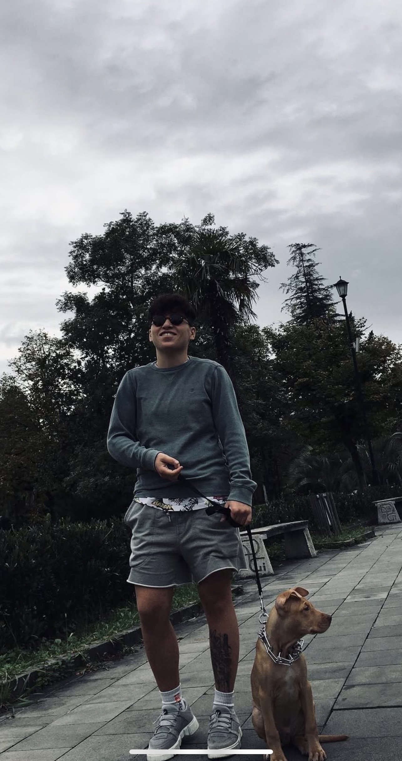 image-12
