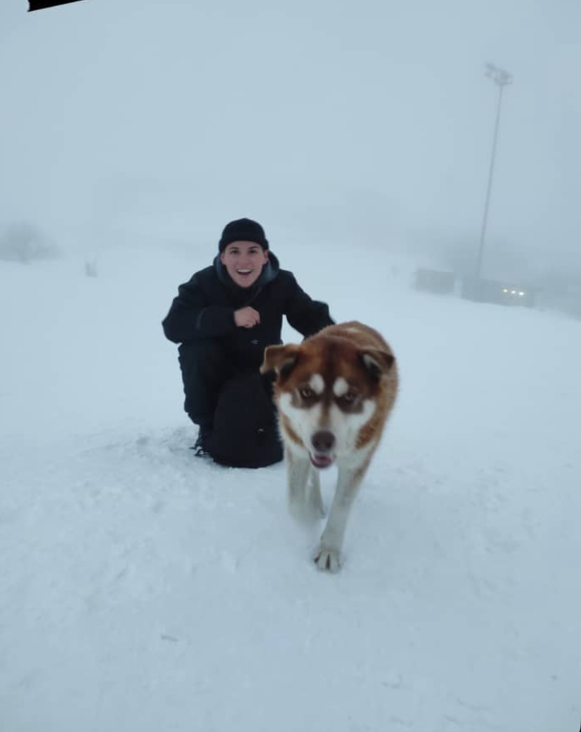 image-5