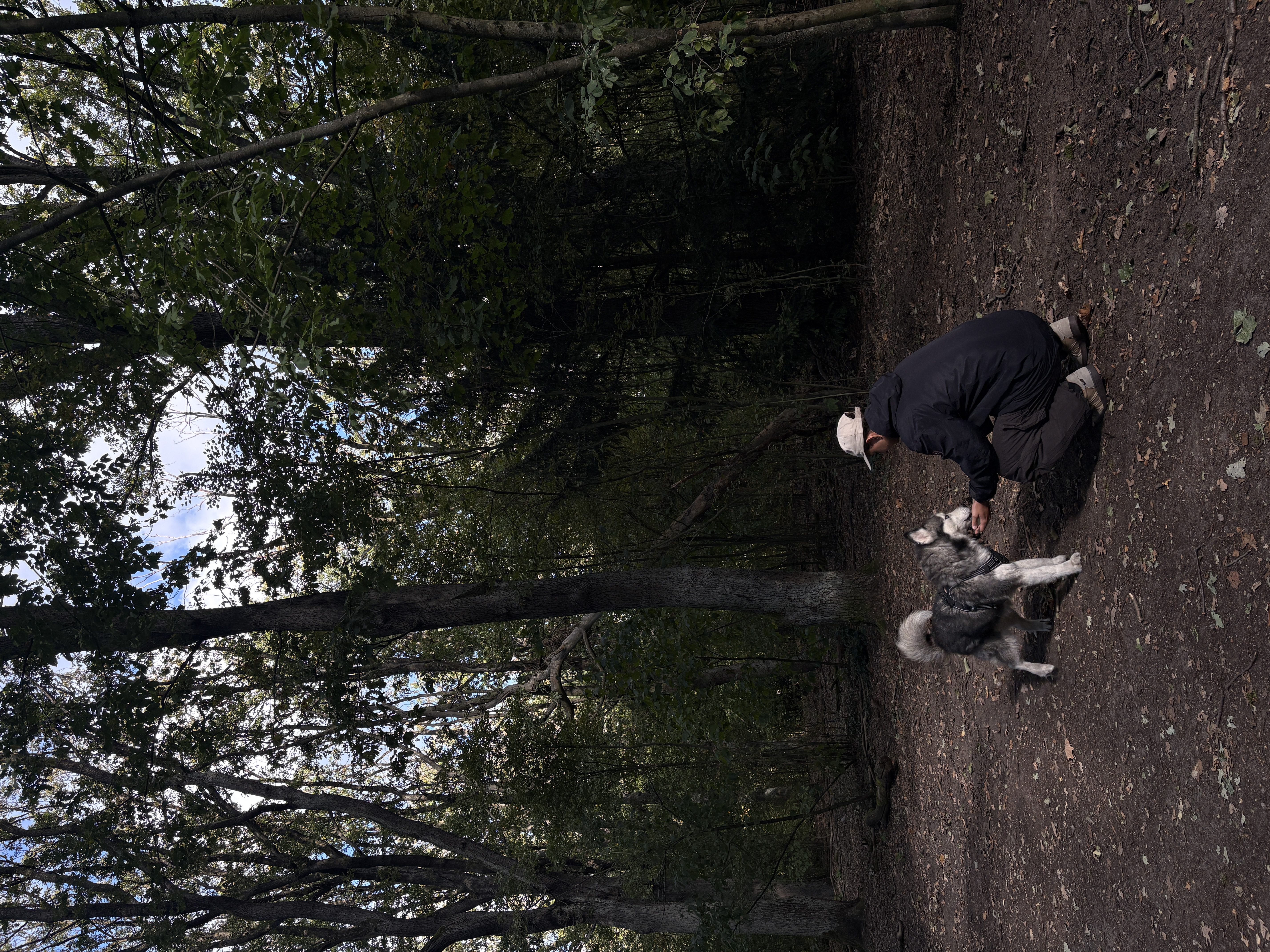 image-10