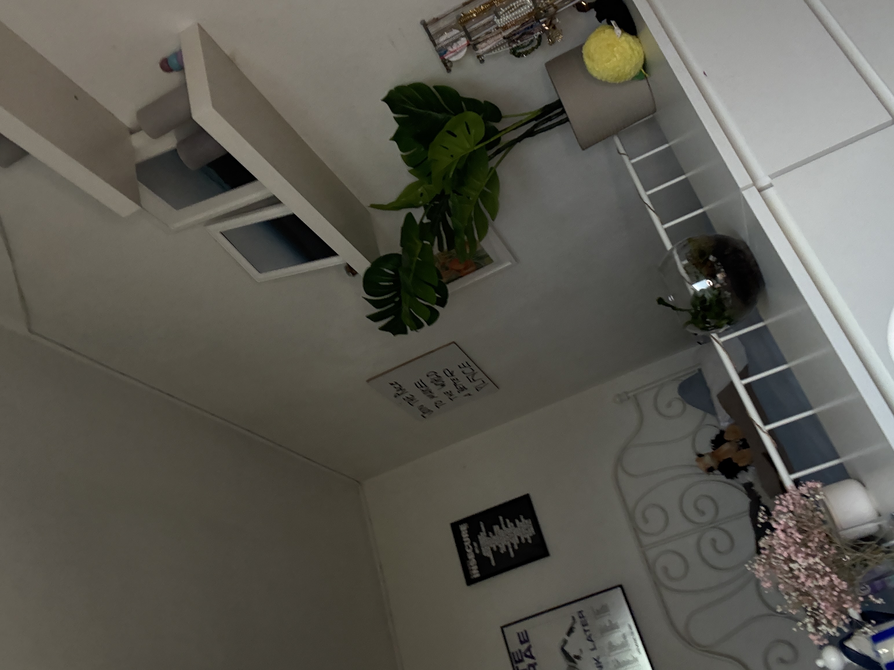 image-14