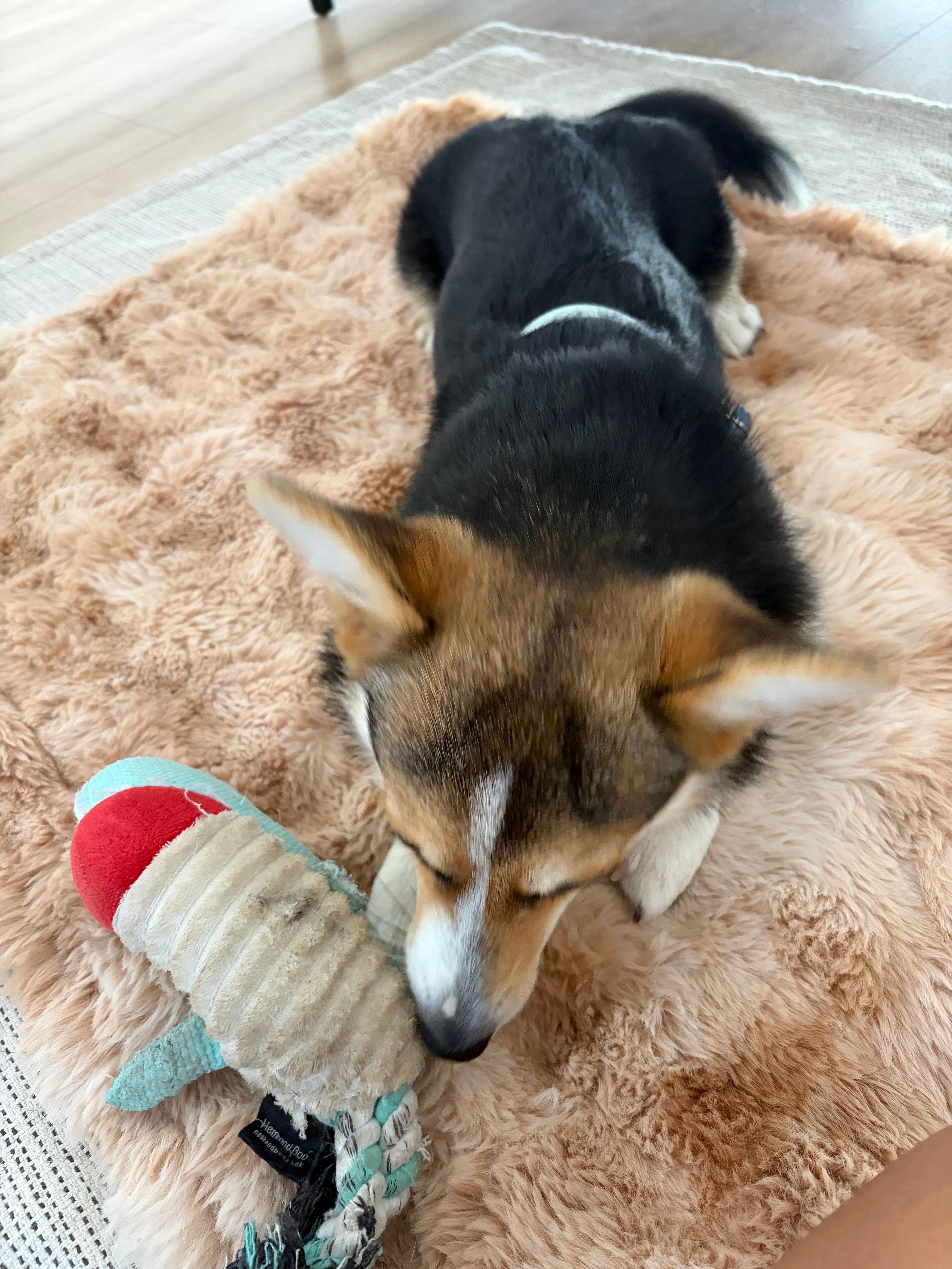 image-10