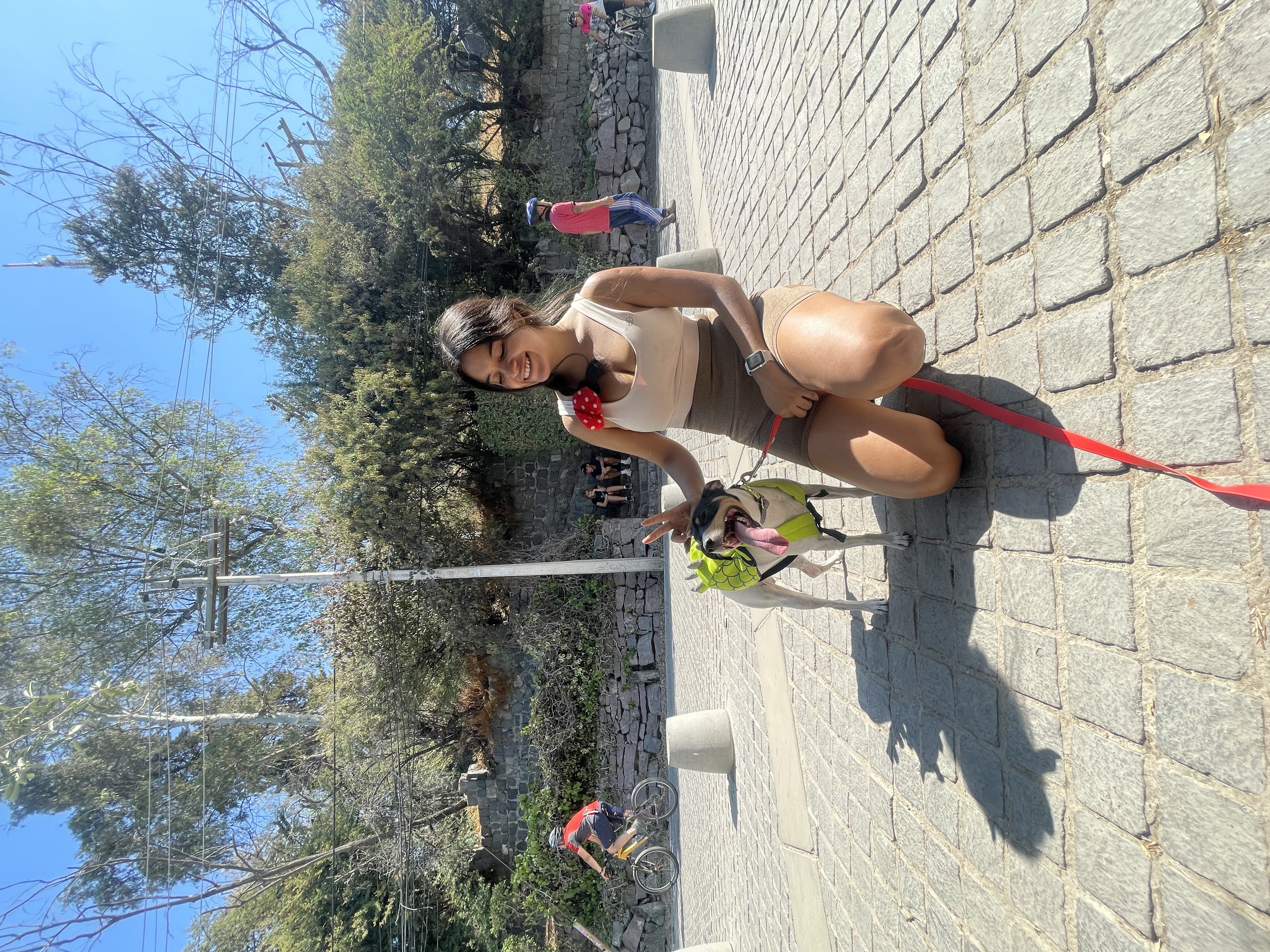 image-8