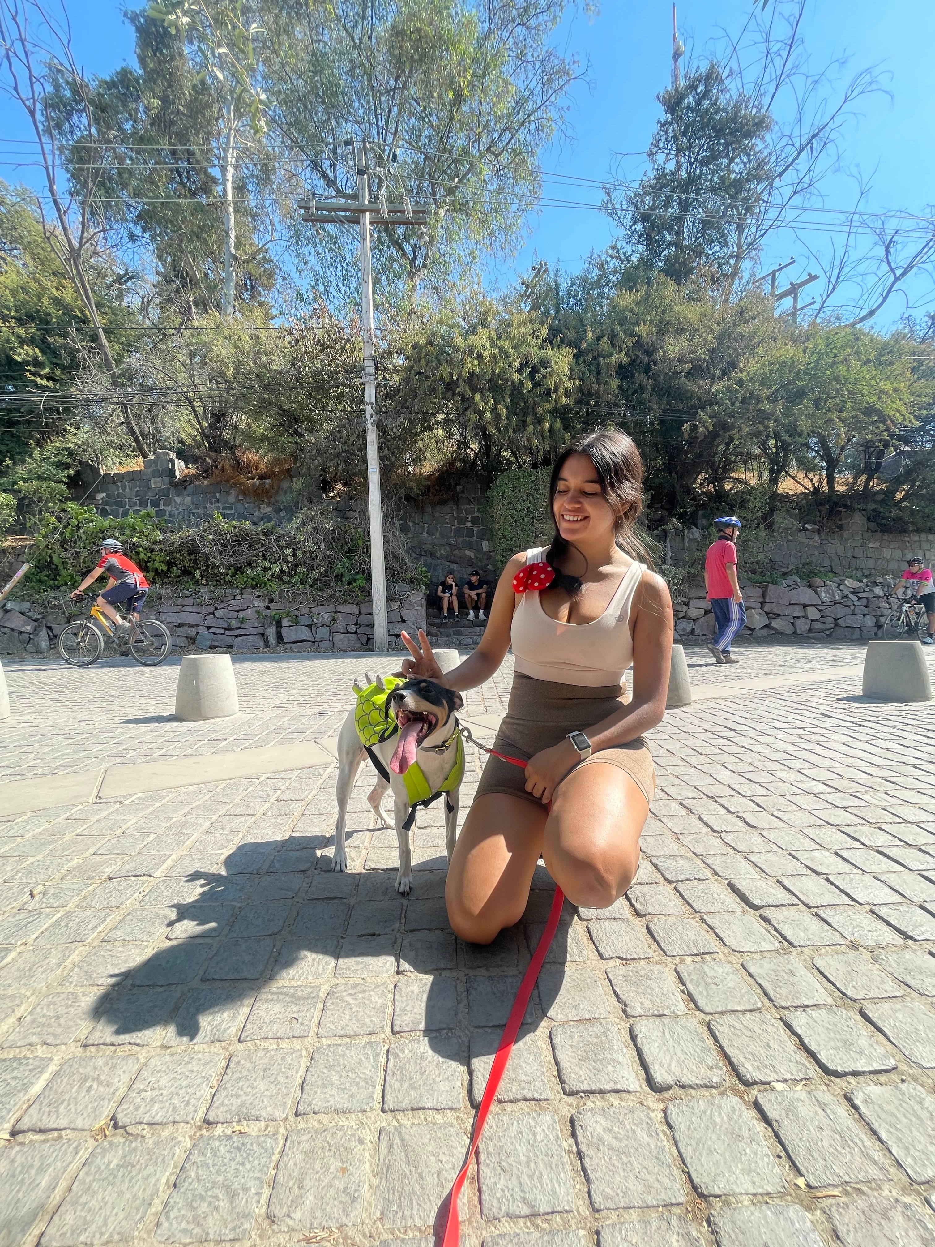 image-8