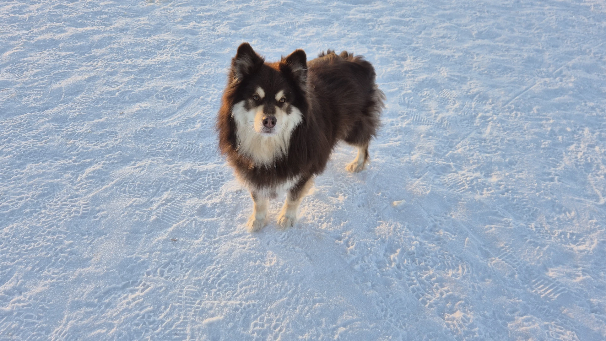 image-10