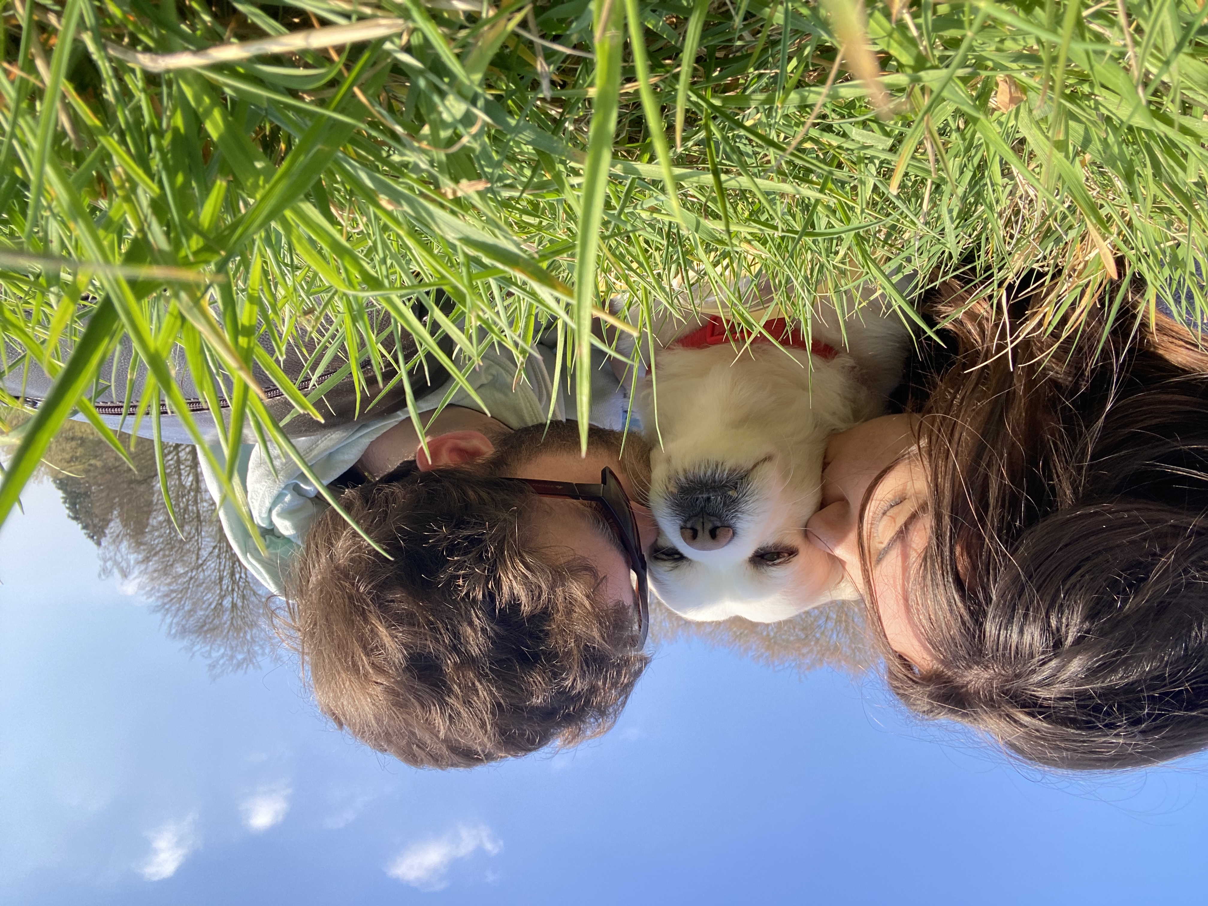 image-0