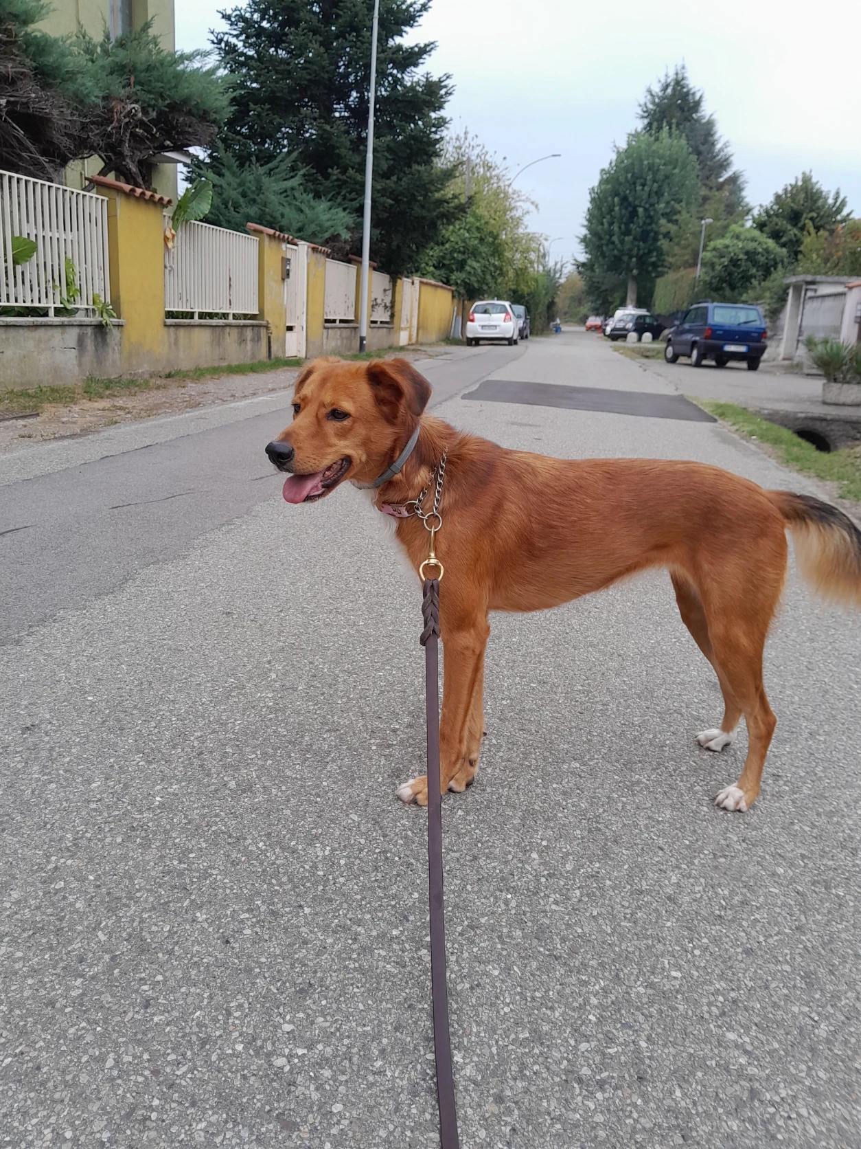 image-15