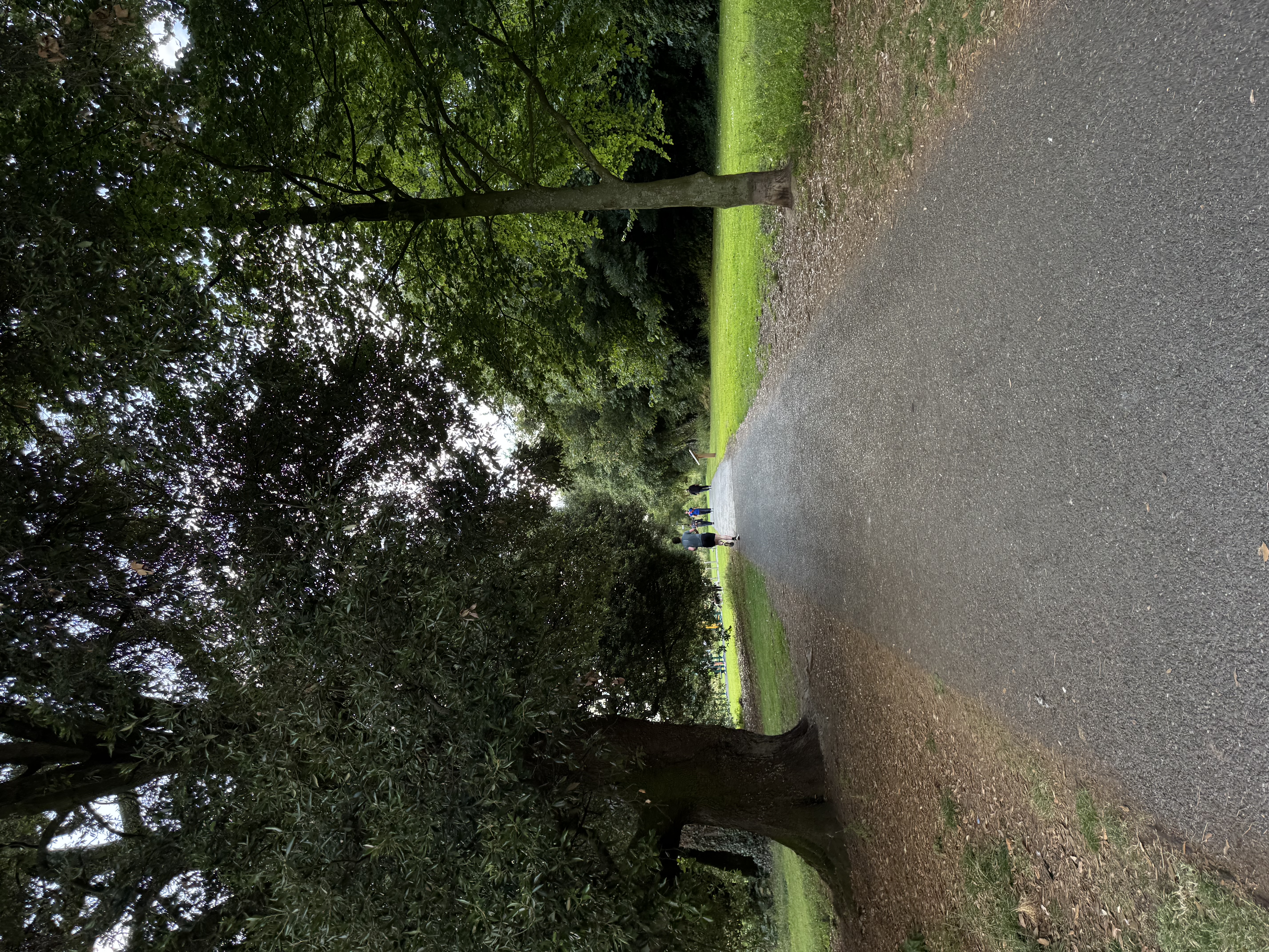 image-24