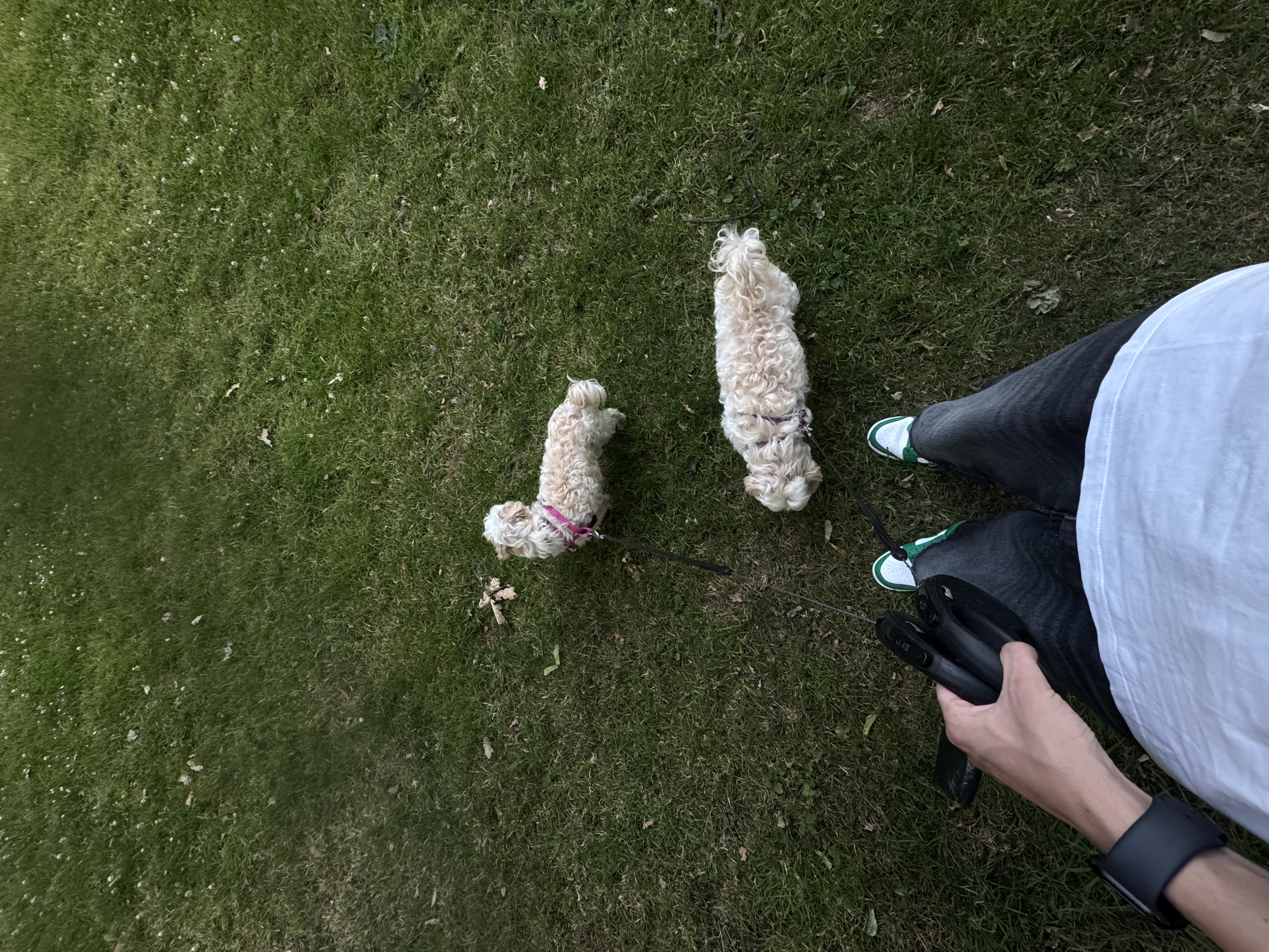 image-14