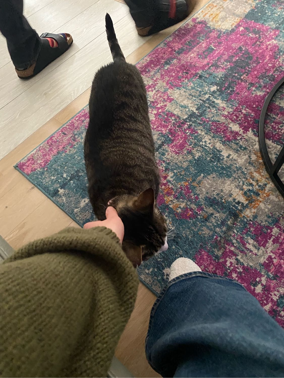 image-6