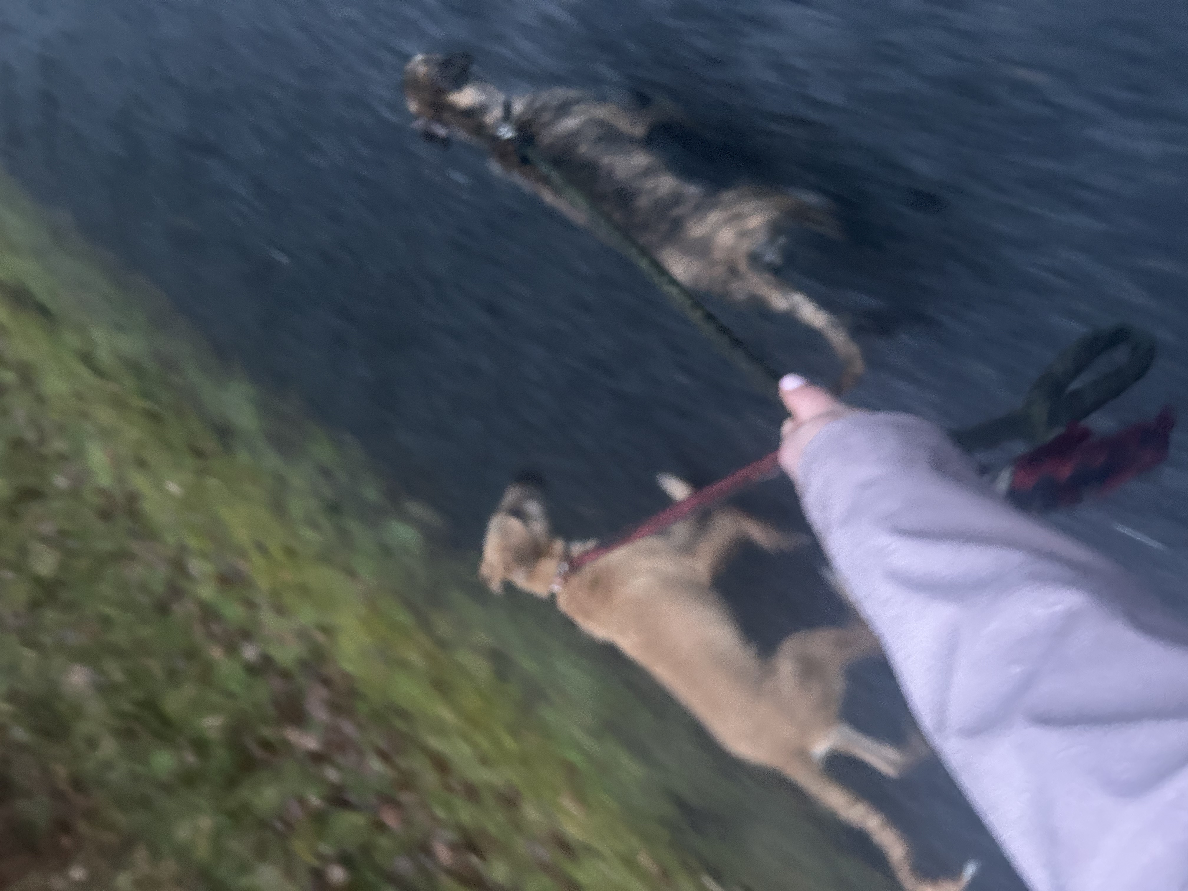 image-7