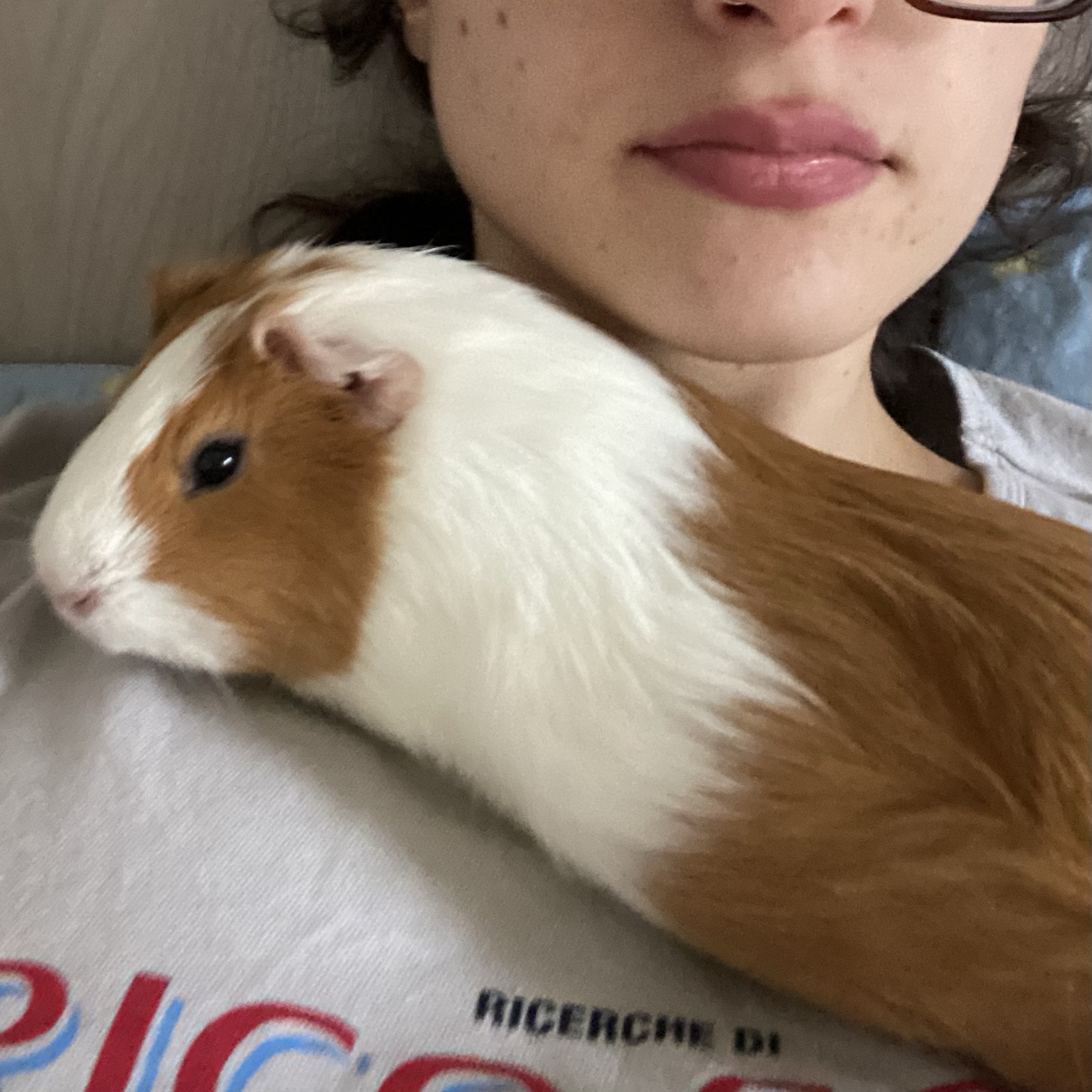 Amanda