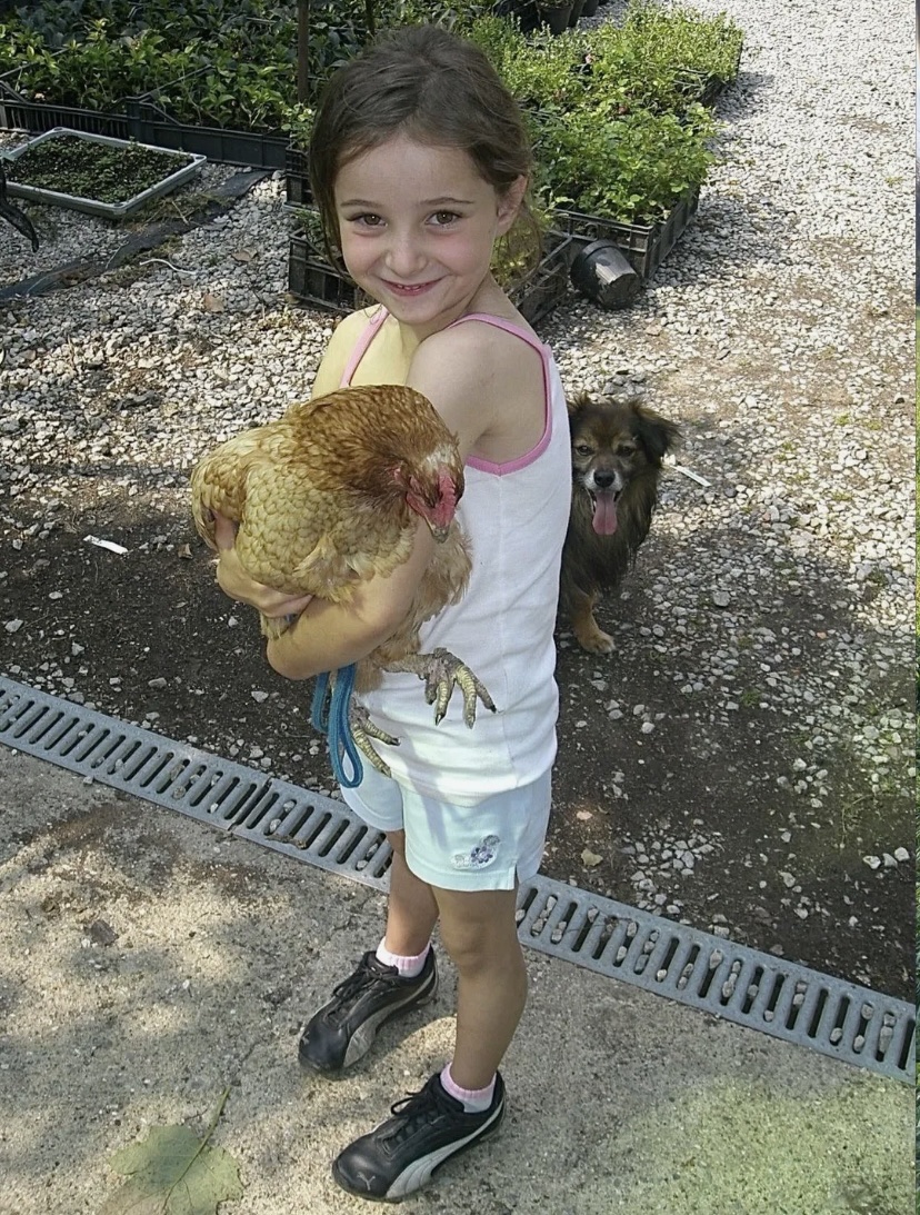 image-8
