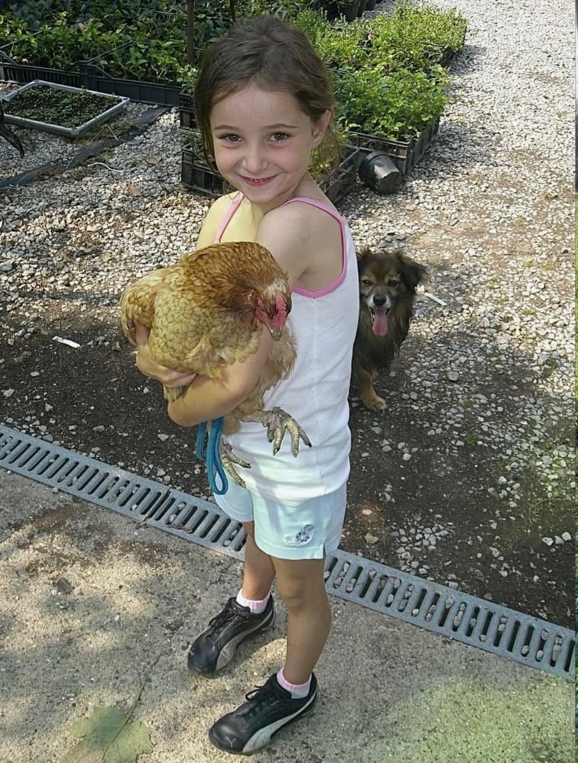image-8