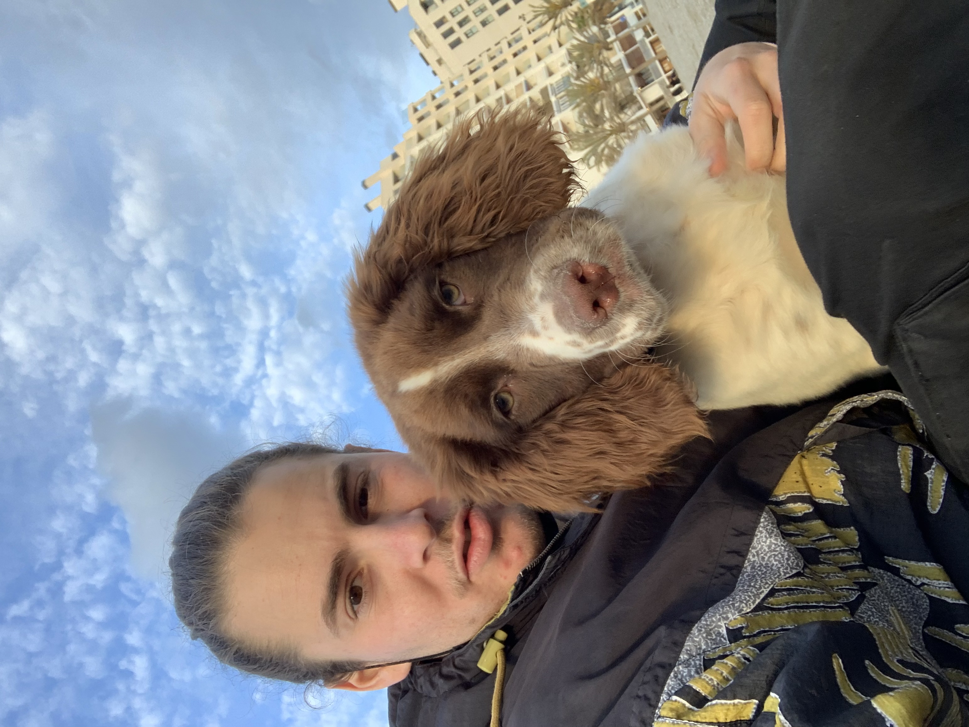 image-5