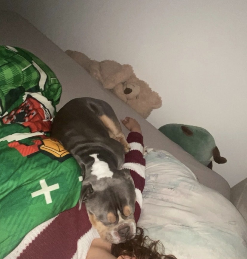 image-8