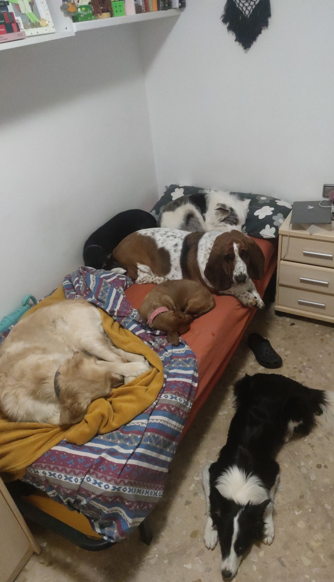 image-7