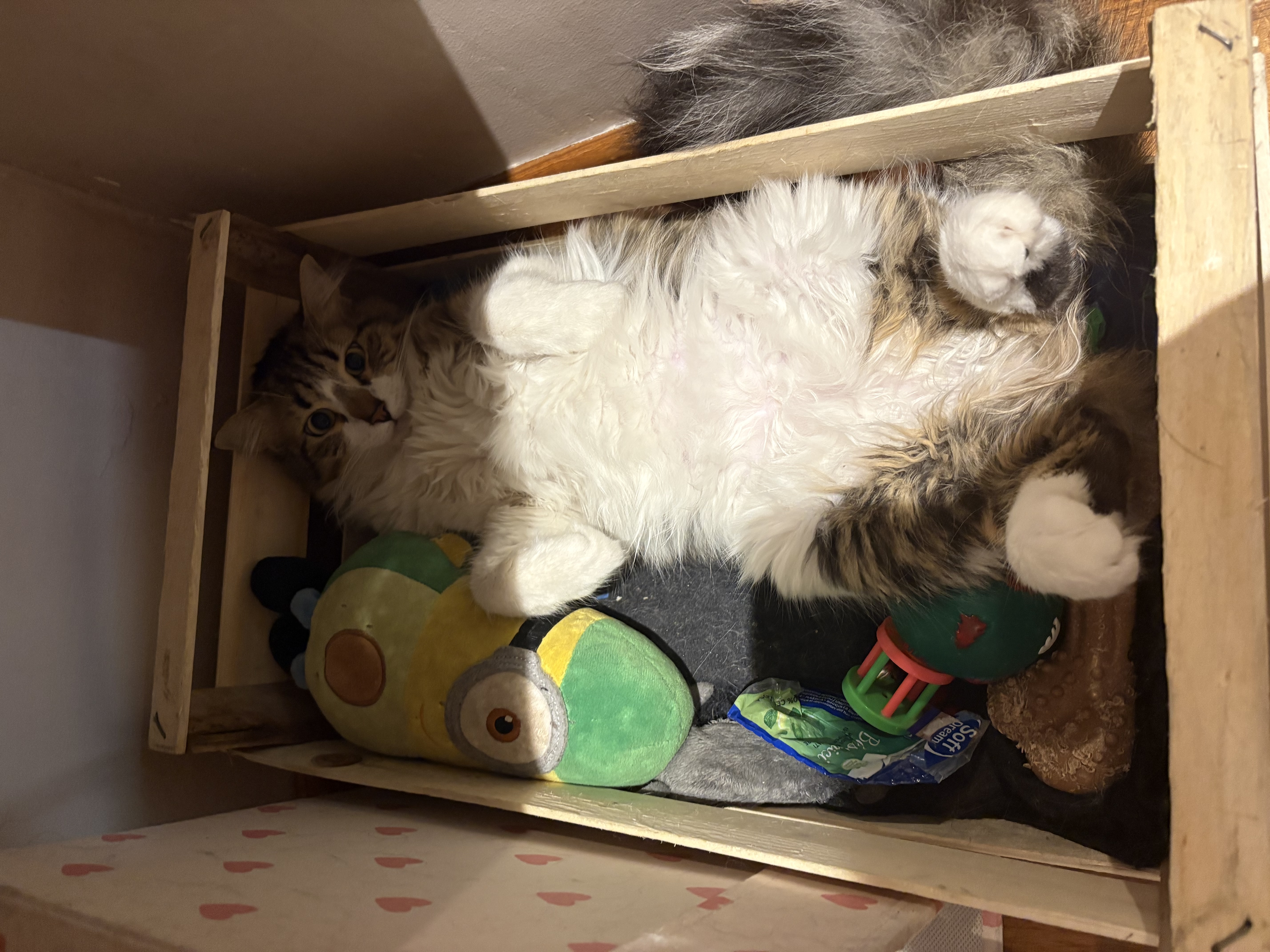 image-7