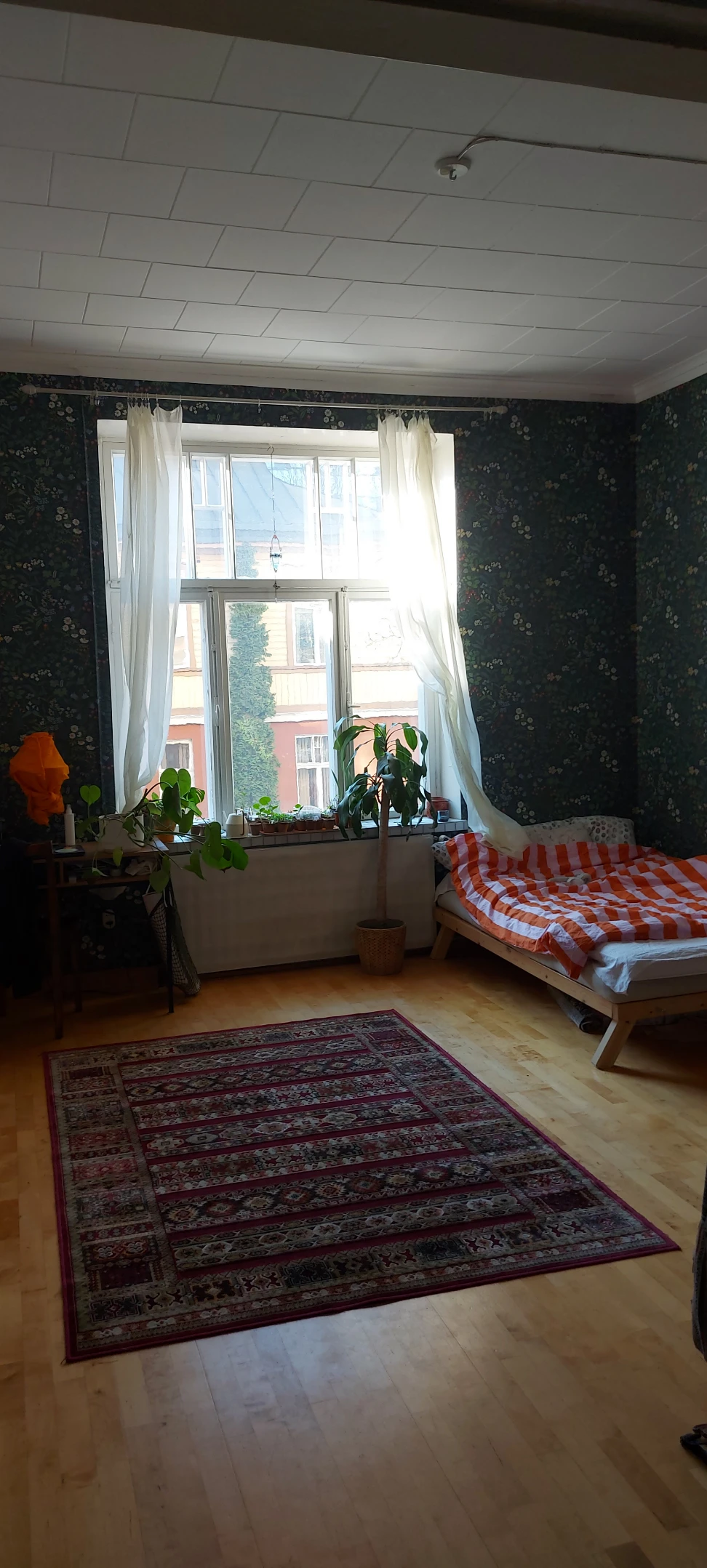 image-5