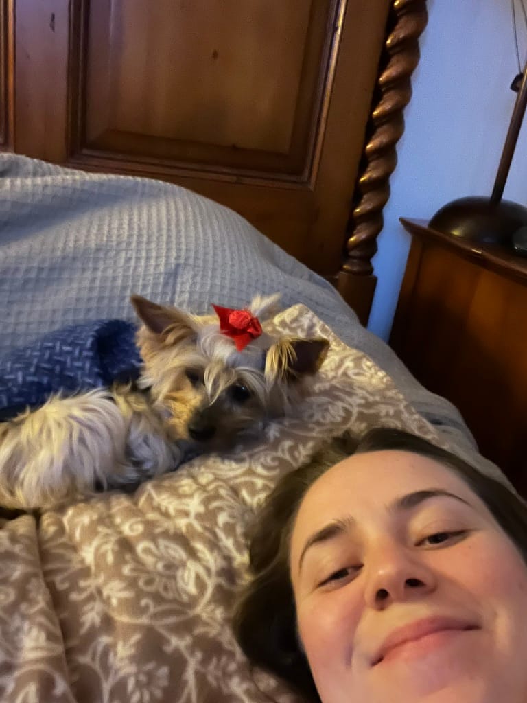 image-7