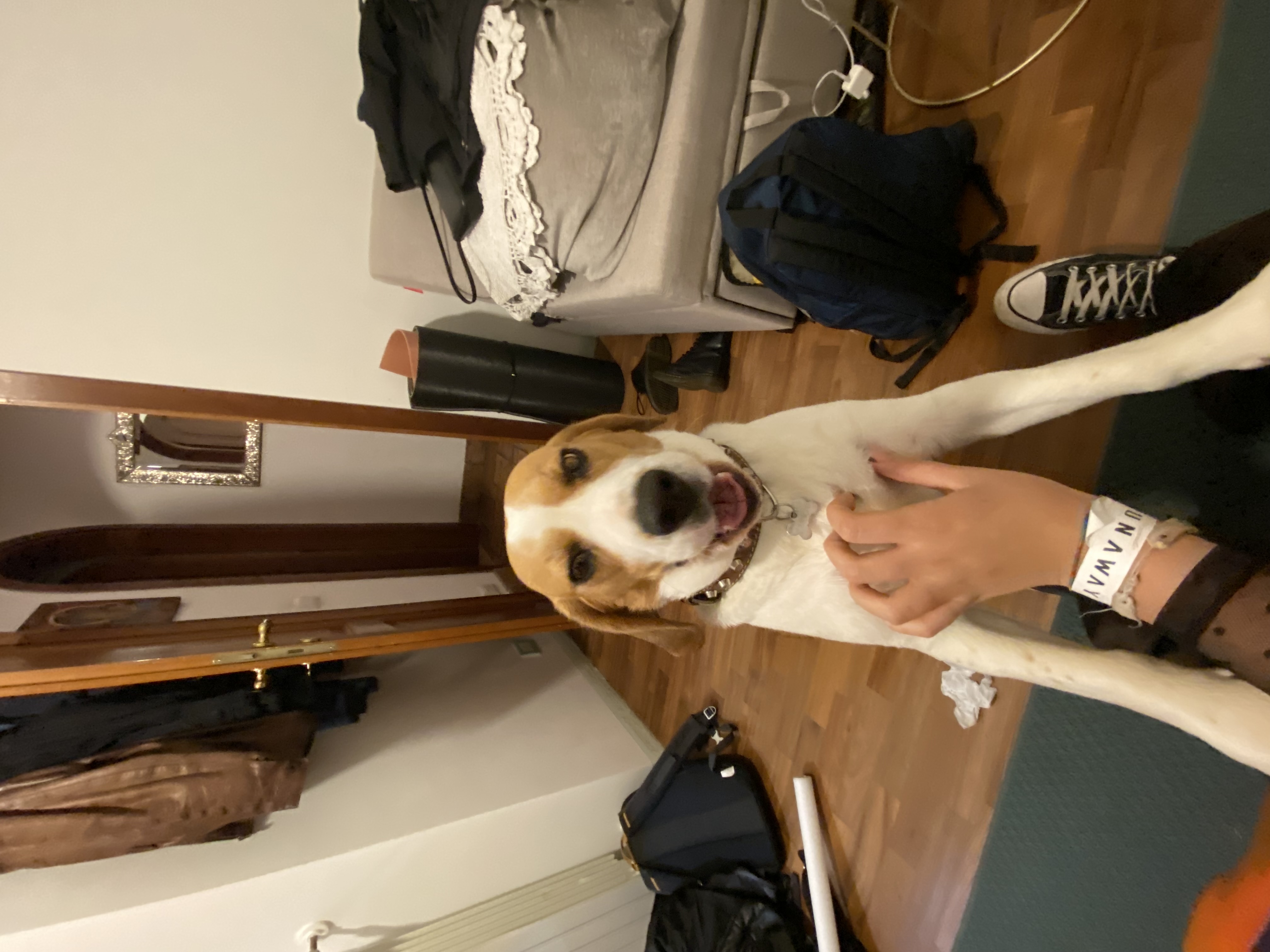 image-15