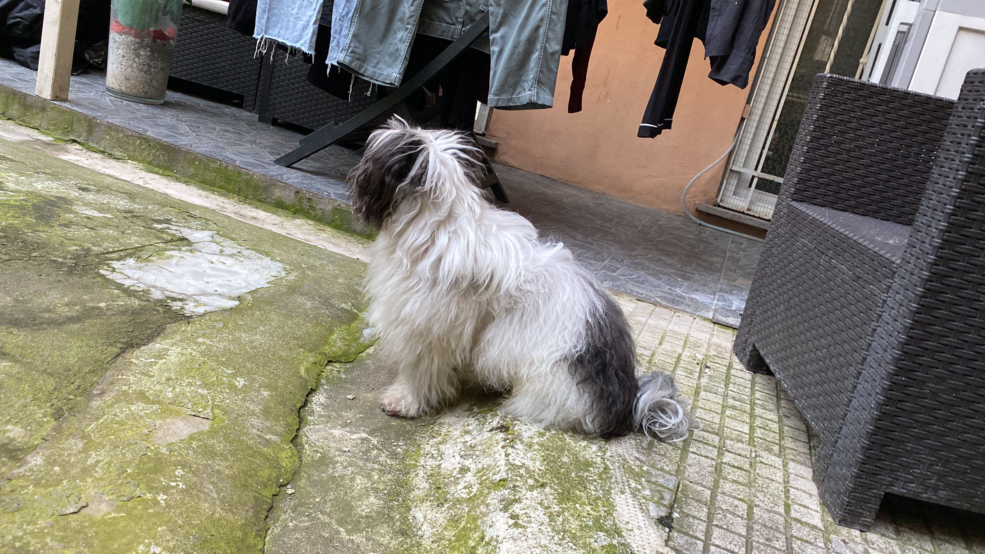 image-16