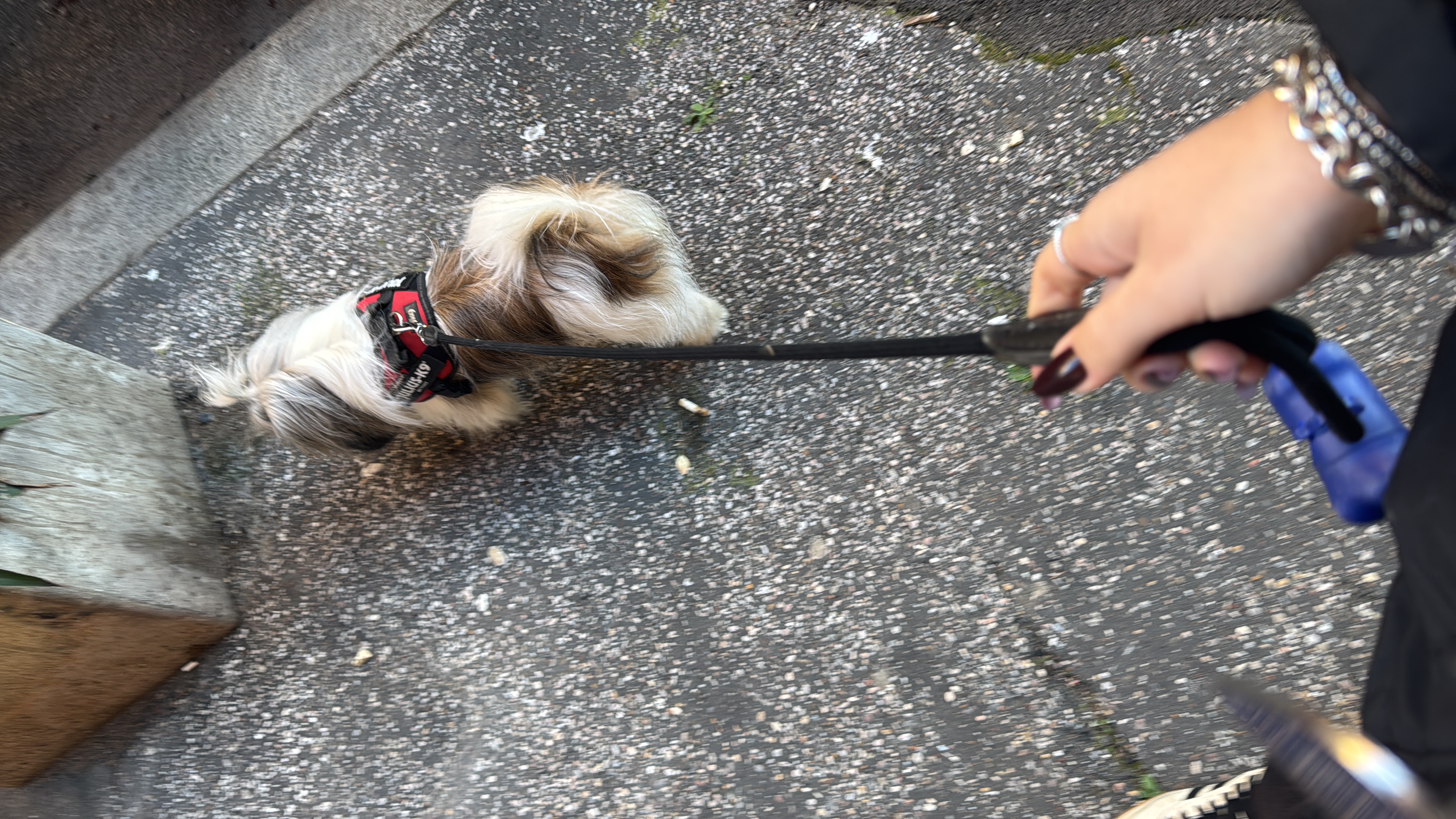 image-7