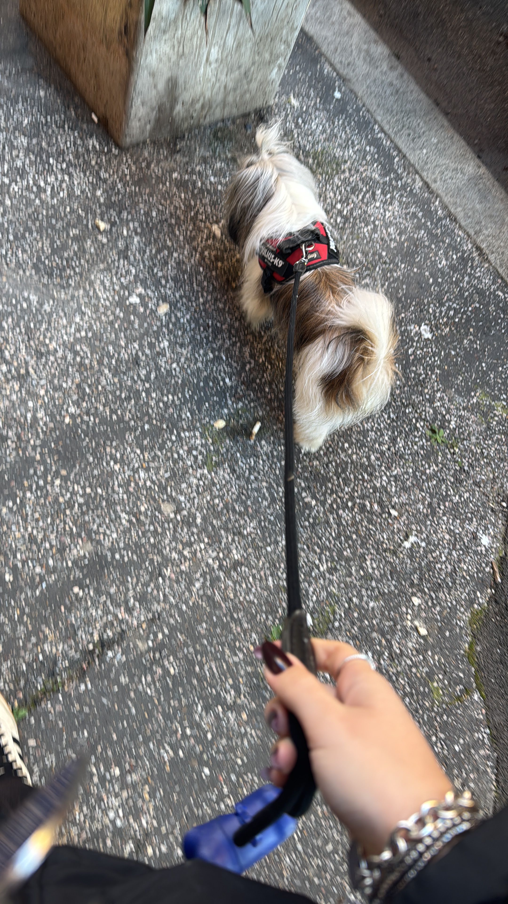 image-7