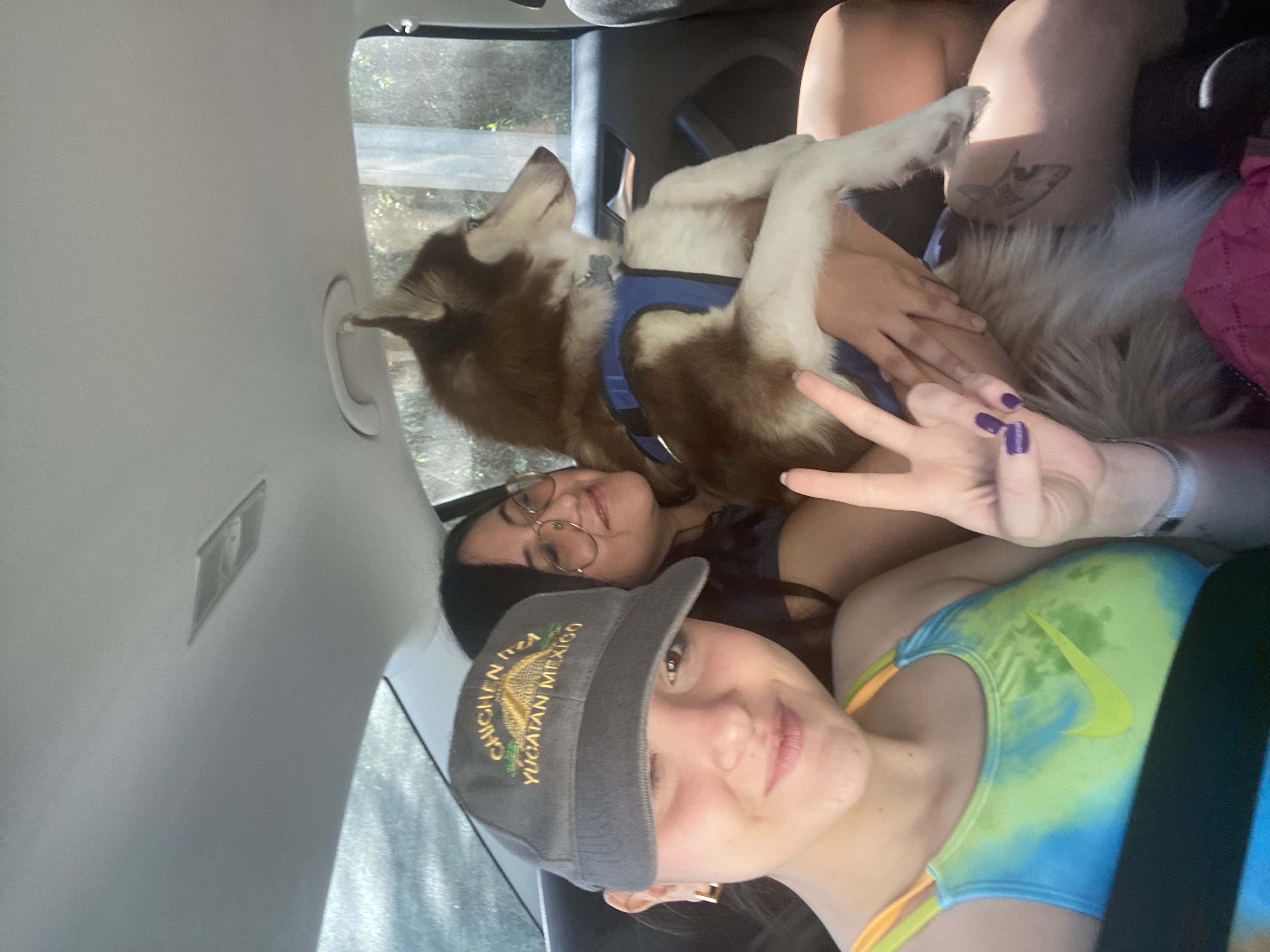 image-4