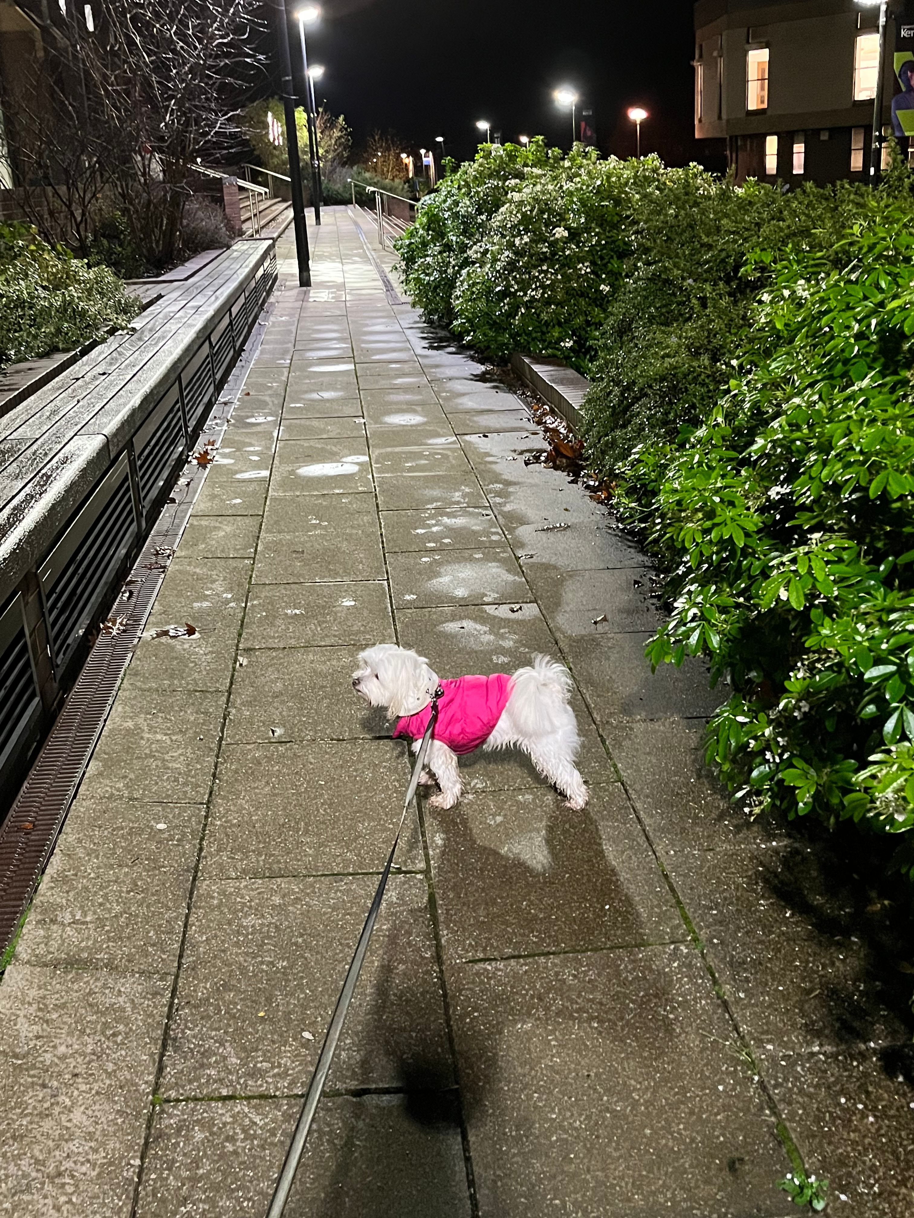 image-14